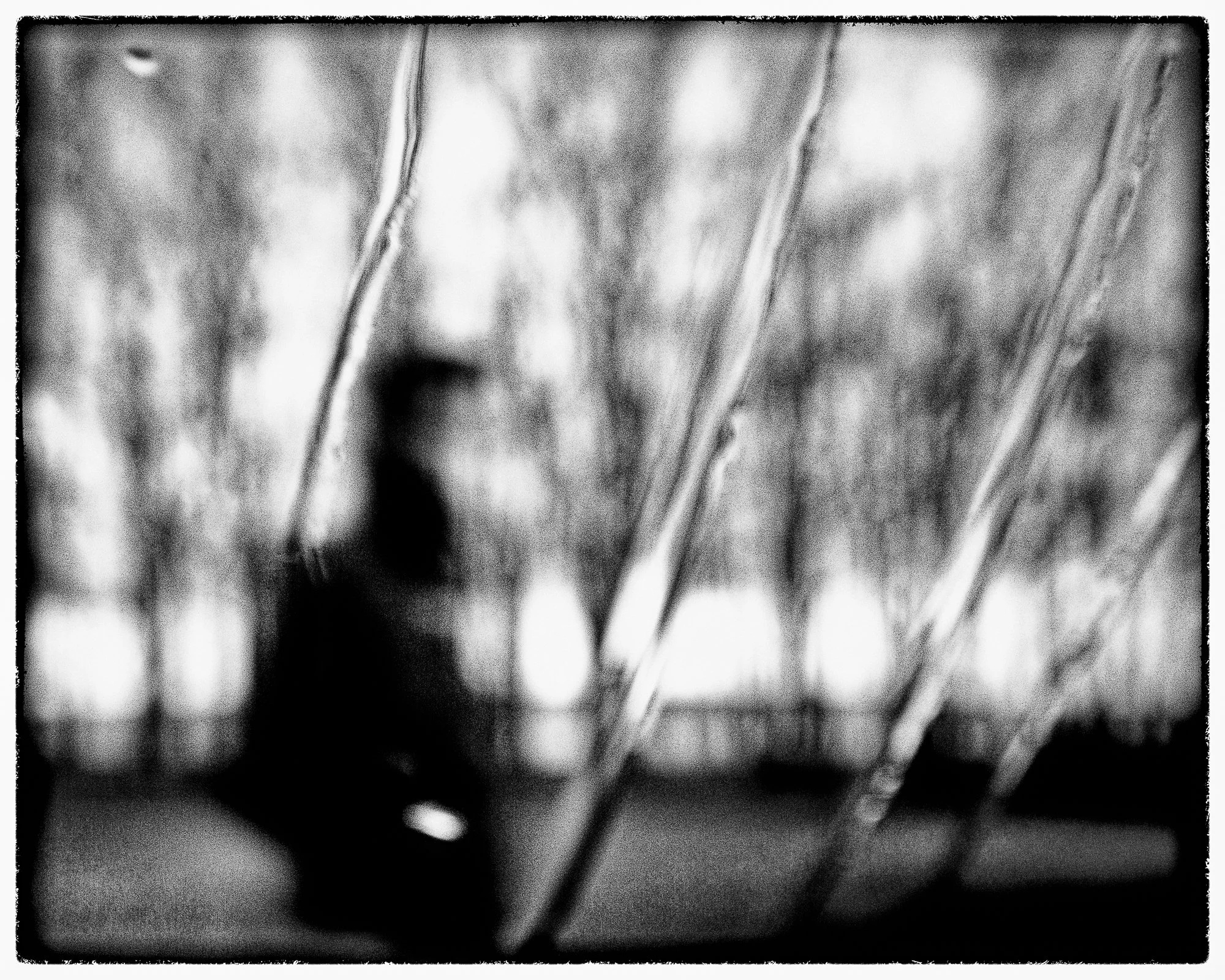 Walking, Seattle, Washington