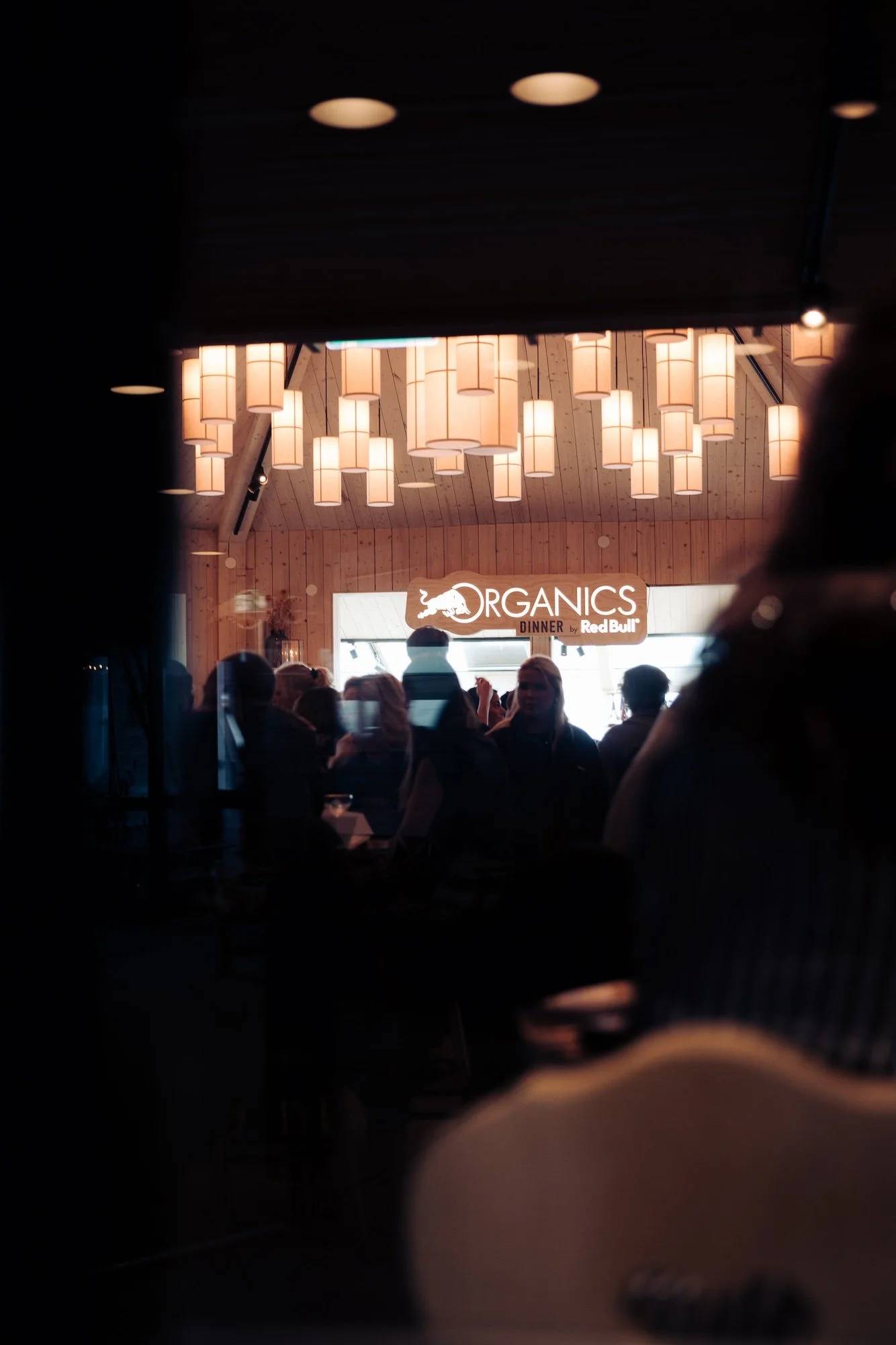 RedBull Organics Dinner