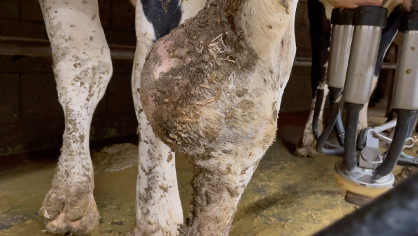 Screenshot 2026-03-09 at 3.13.33 PM.png