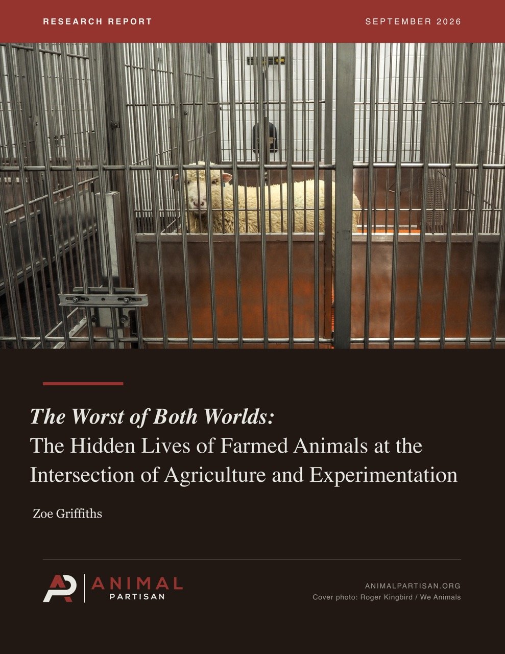 Research Report: The Hidden Lives of Farmed Animals at the Intersection of Agriculture and Experimentation
