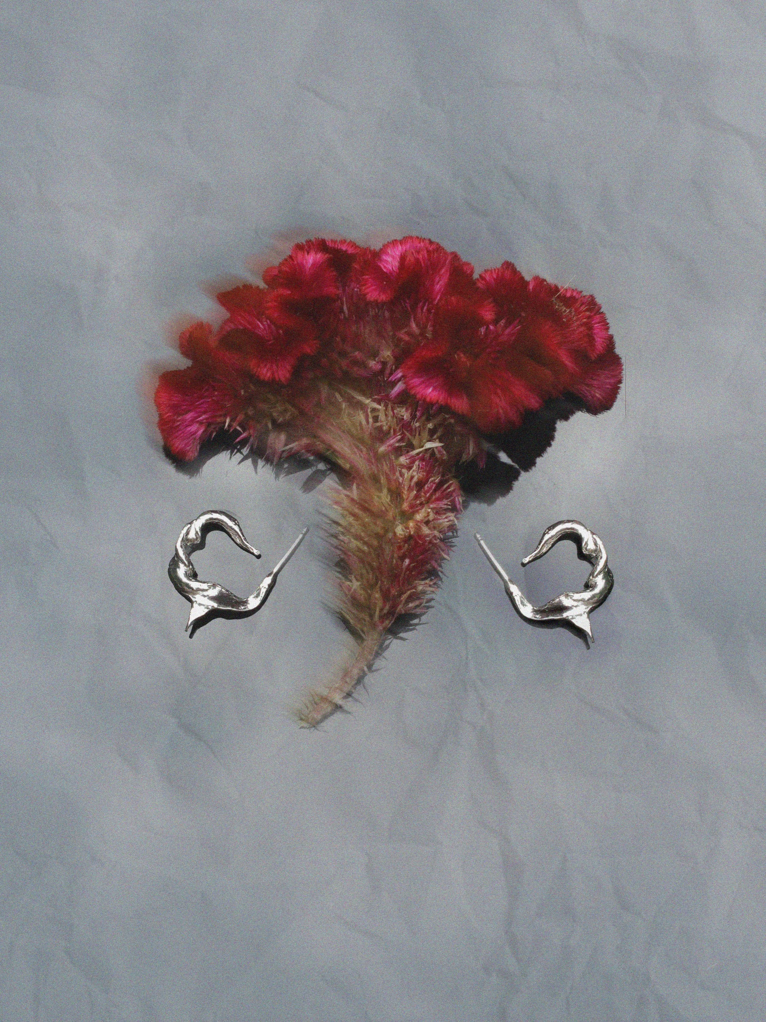 claw hoops lly atelier.jpg