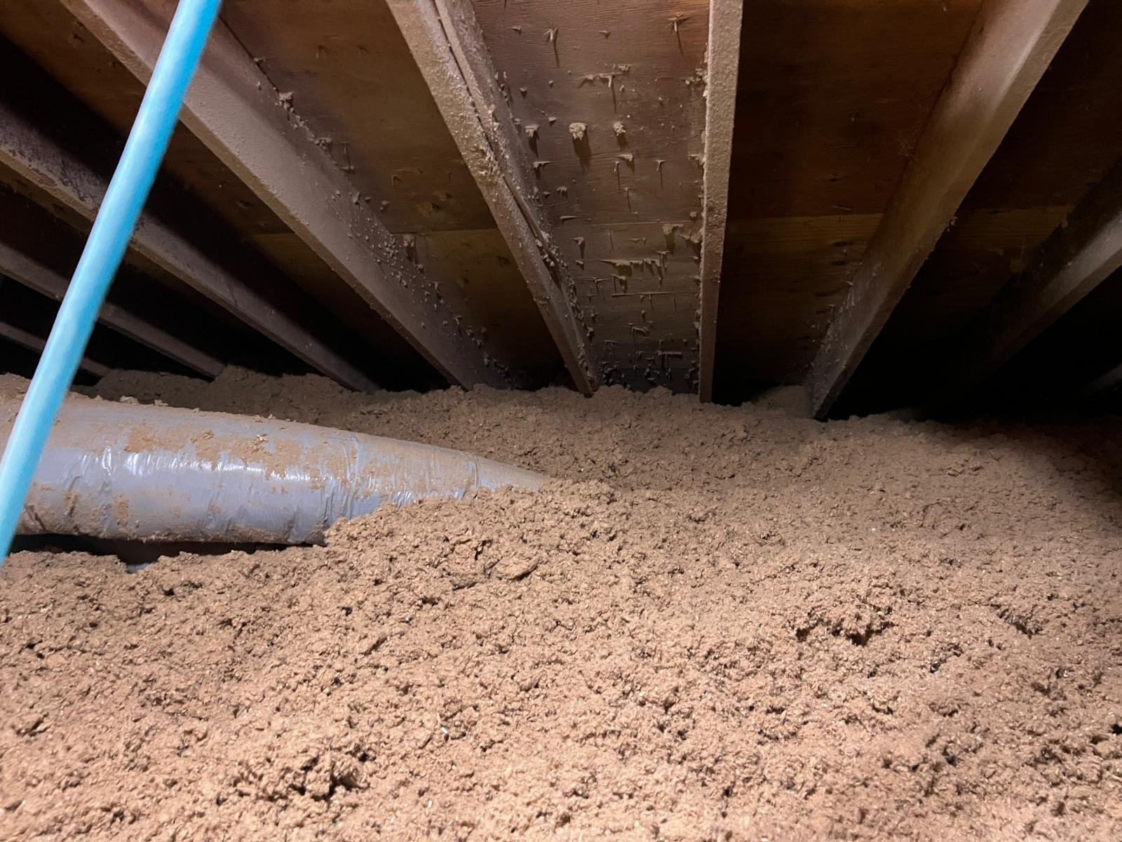 PHOTO-2024-11-18-12-22-54 4.jpg