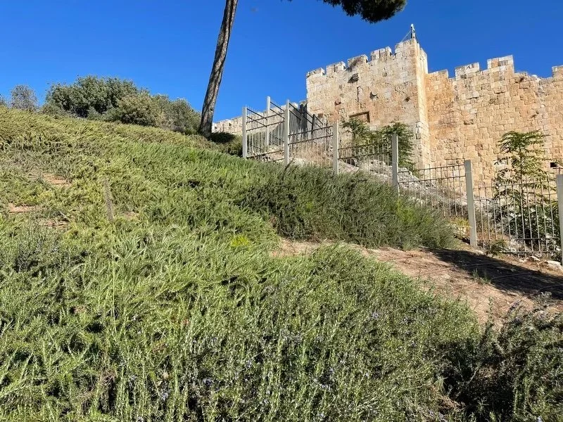 5e4cb210-dbcf-41ac-ba13-011d60b6ec01 copy.jpg