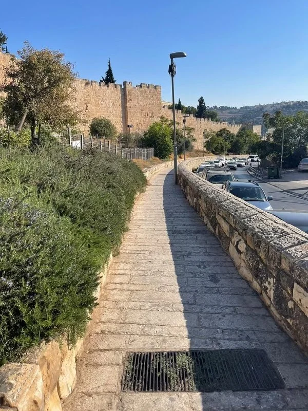 c3049cd4-d551-4022-9c98-e4aaefdff7b5 copy.jpg