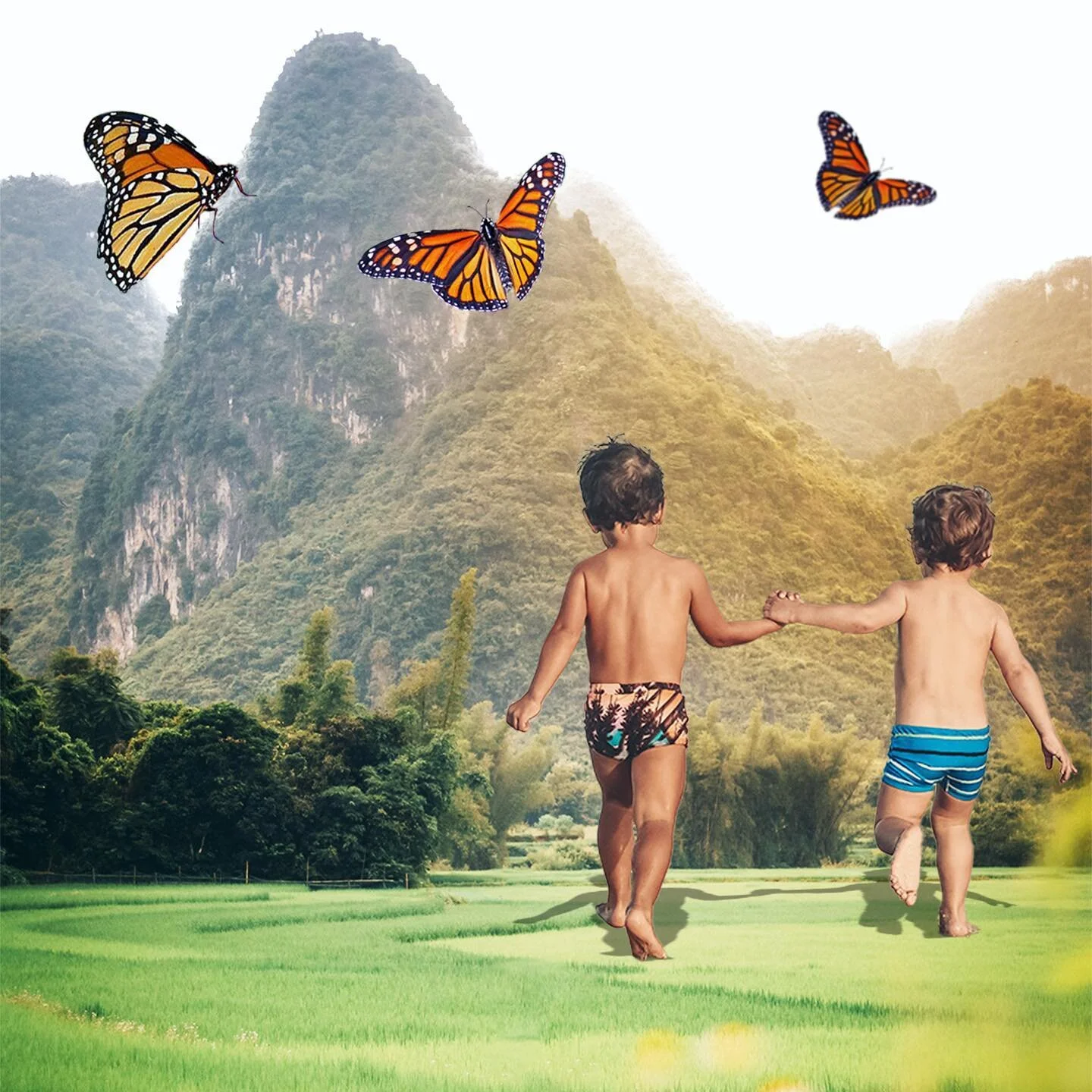 wild &amp; free, 2022