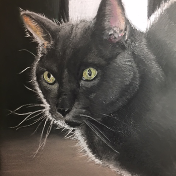 CAT.png