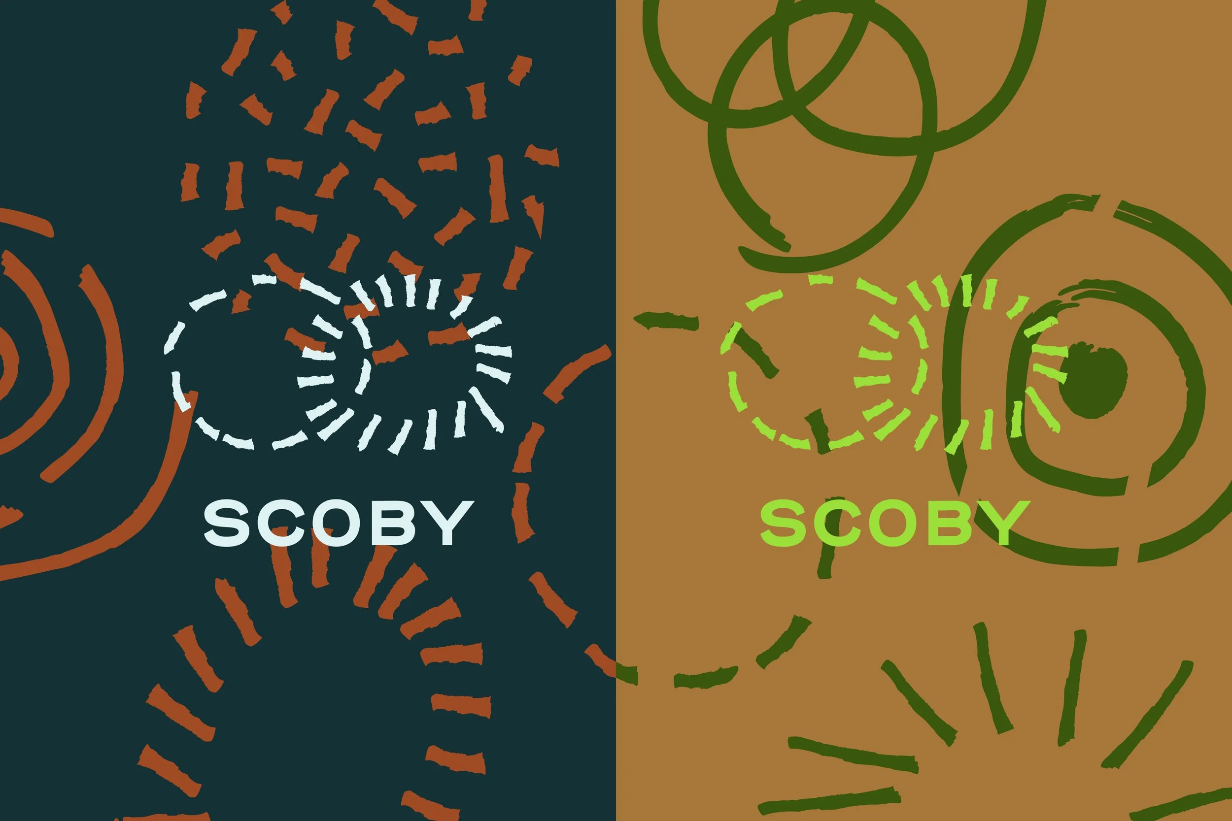 SCOBY_SITE_4.jpg