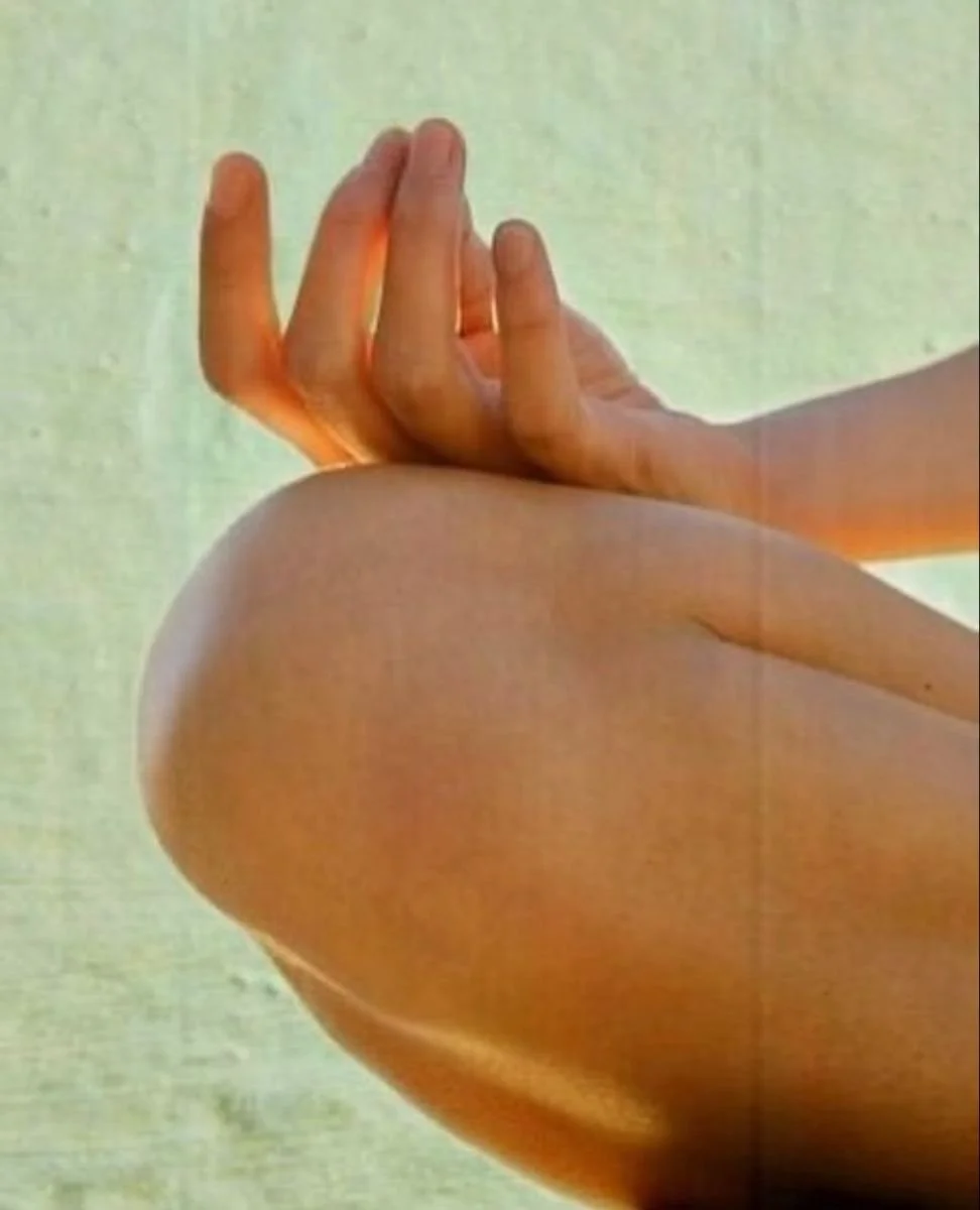 A Meditation on Meditation