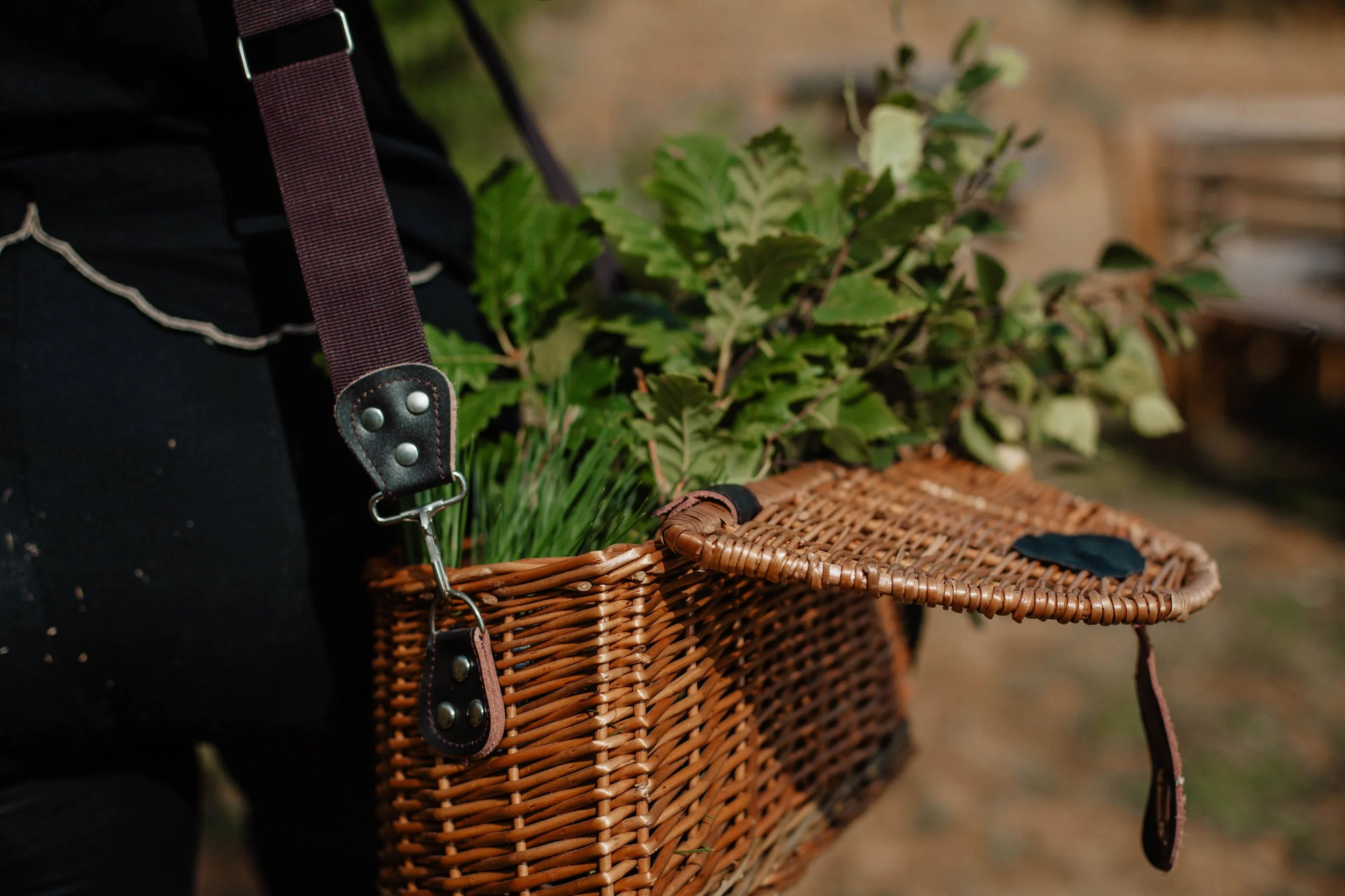 A person carrying a wicker basket filled with green leafy plants.