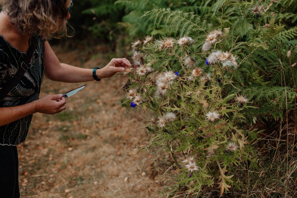 A person with curly hair holding a small gardening trowel, examining a bush with seed heads and green foliage along a dirt path.