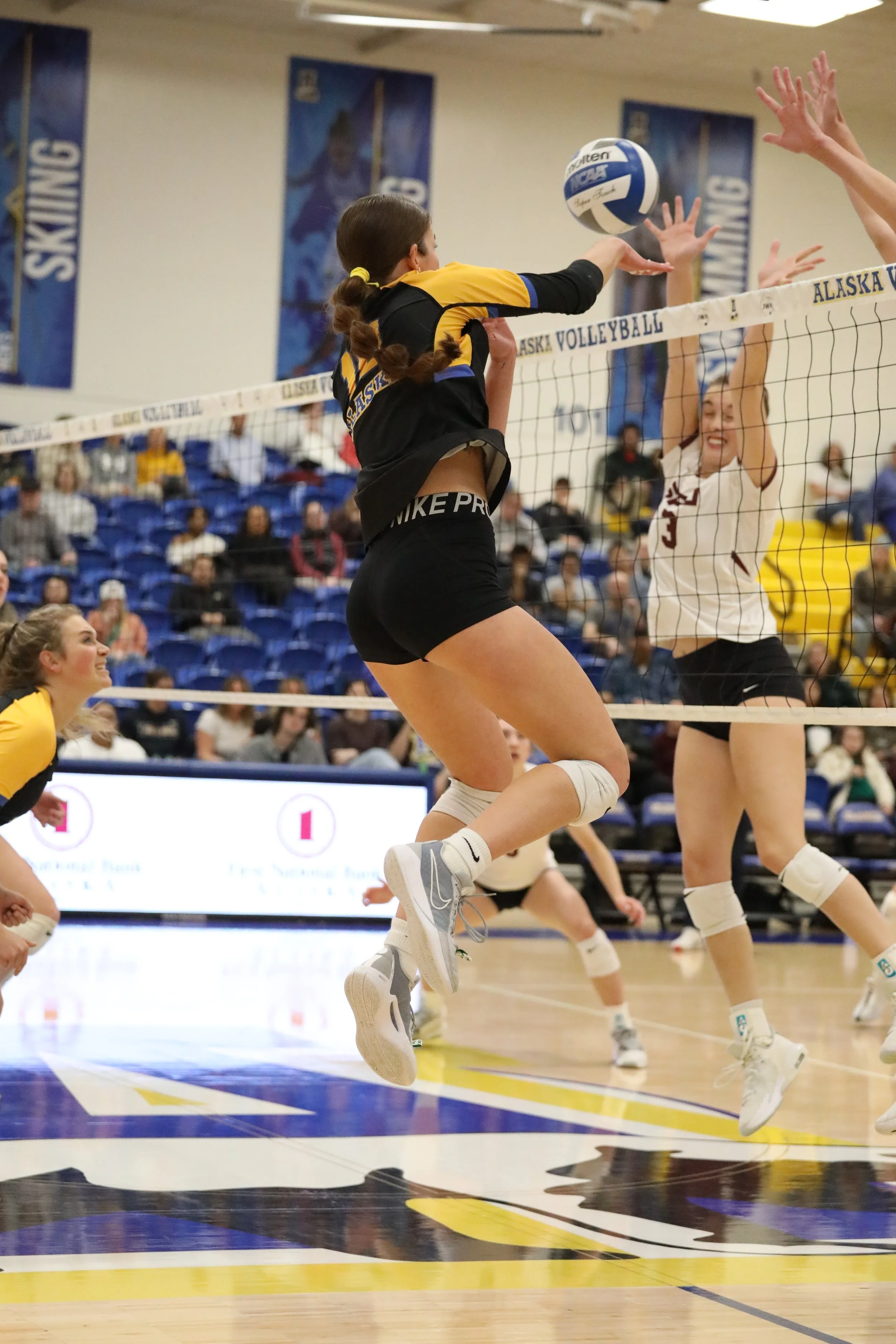Sports '24-'25 — The Sun Star - UAF's Student Voice