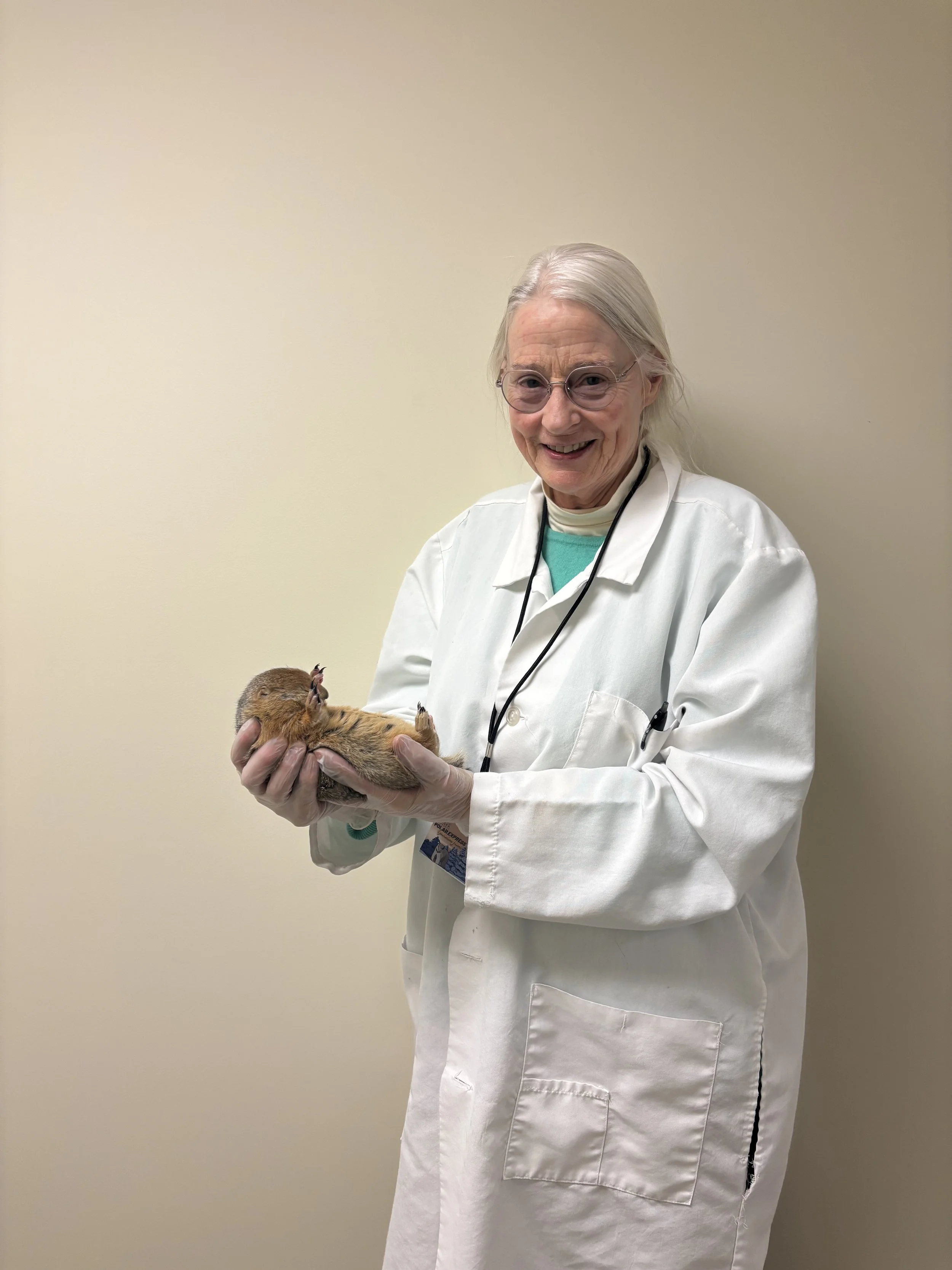 Hibernation: not just a long winter’s nap