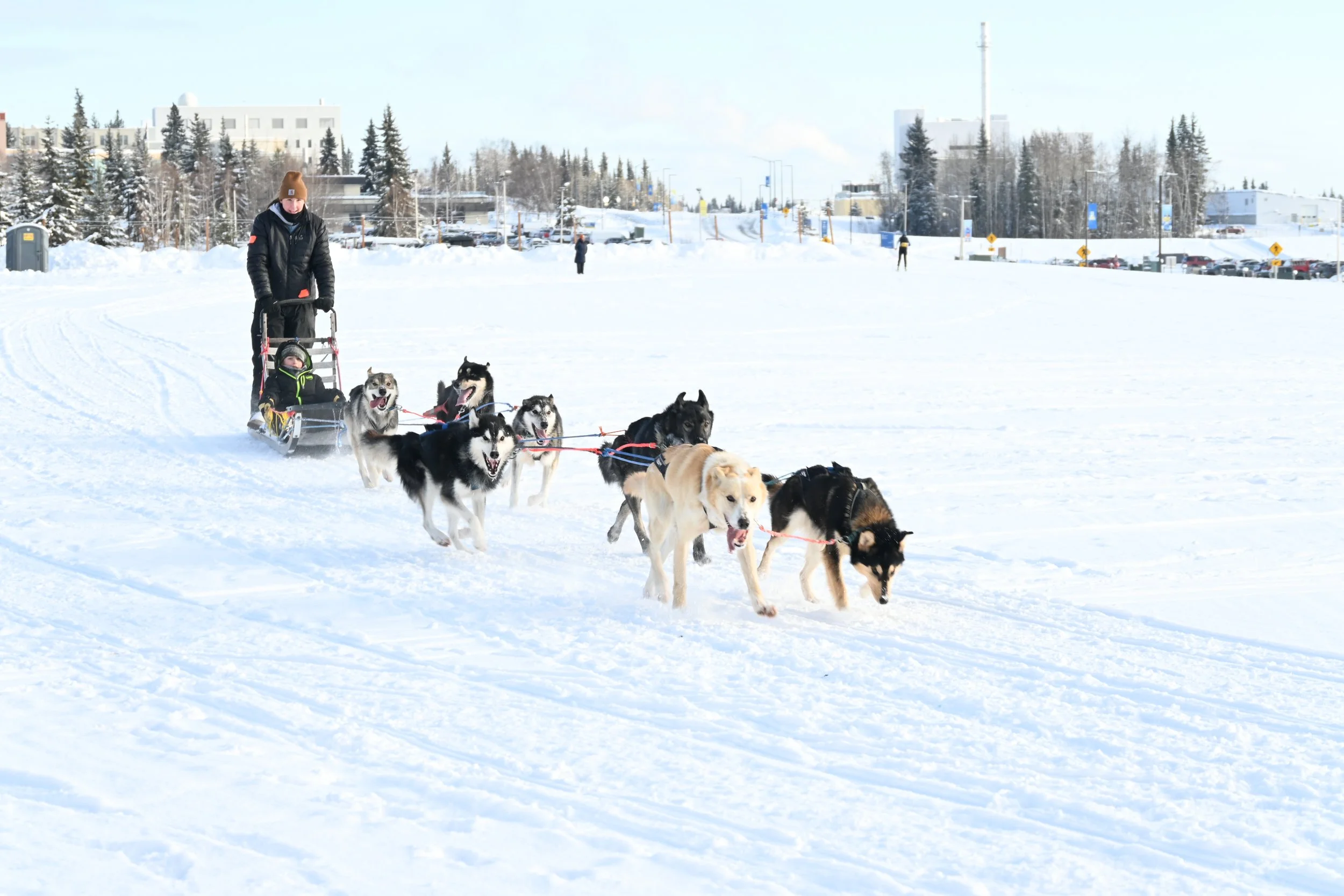 Winter Carnival ignites delight, friendship, fun