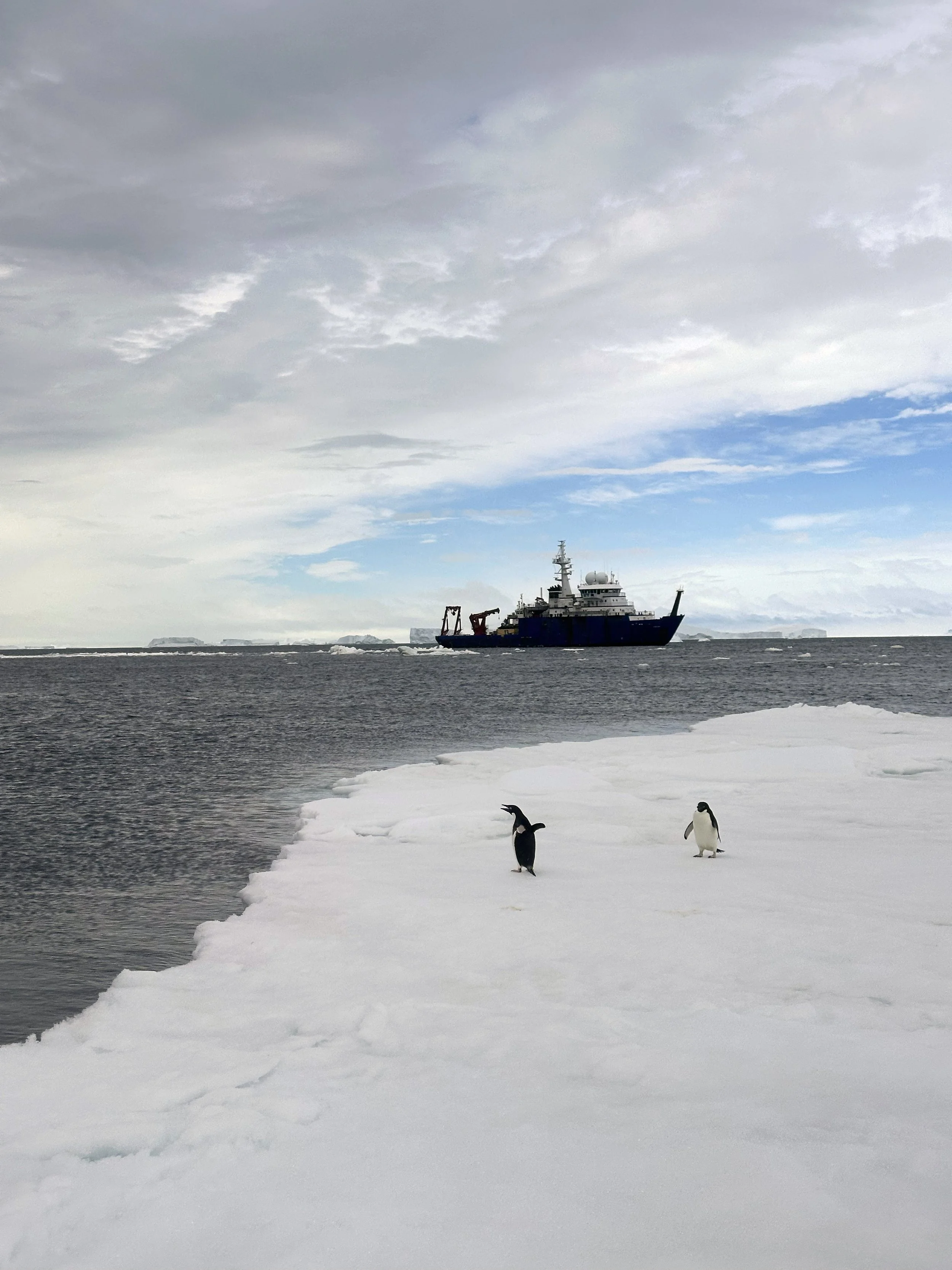 A Nanook among penguins – The Antarctic journey of UAF’s R/V Sikuliaq