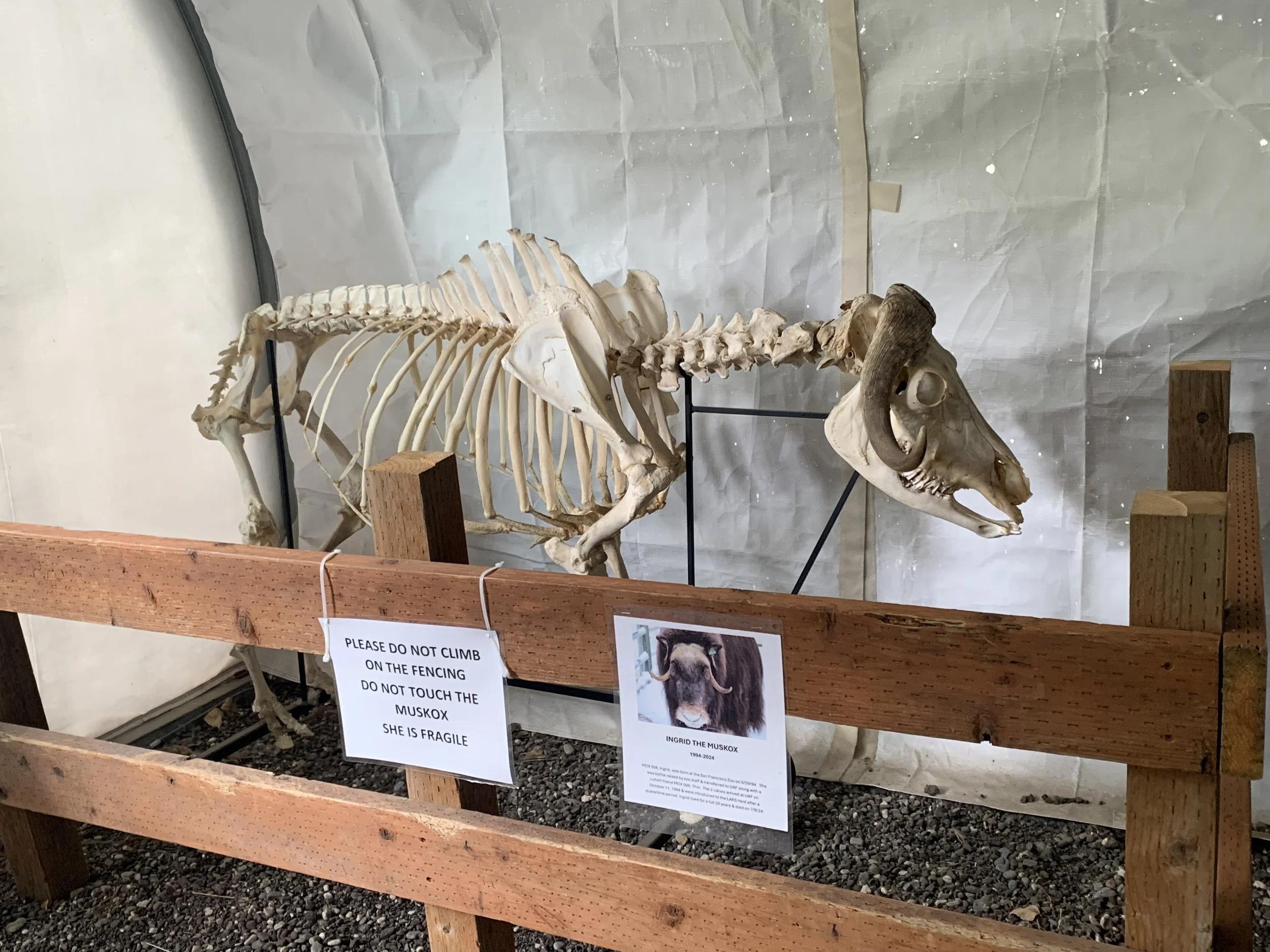 LARS welcomes Fairbanks community for annual Locals Day