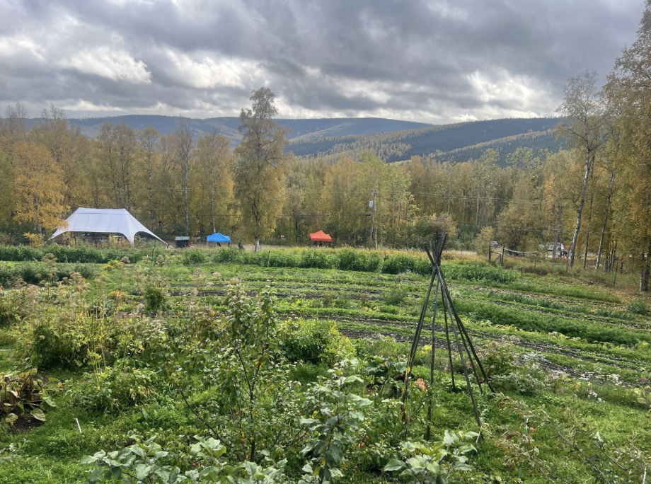 Fall Harvest Festival at Calypso Farm