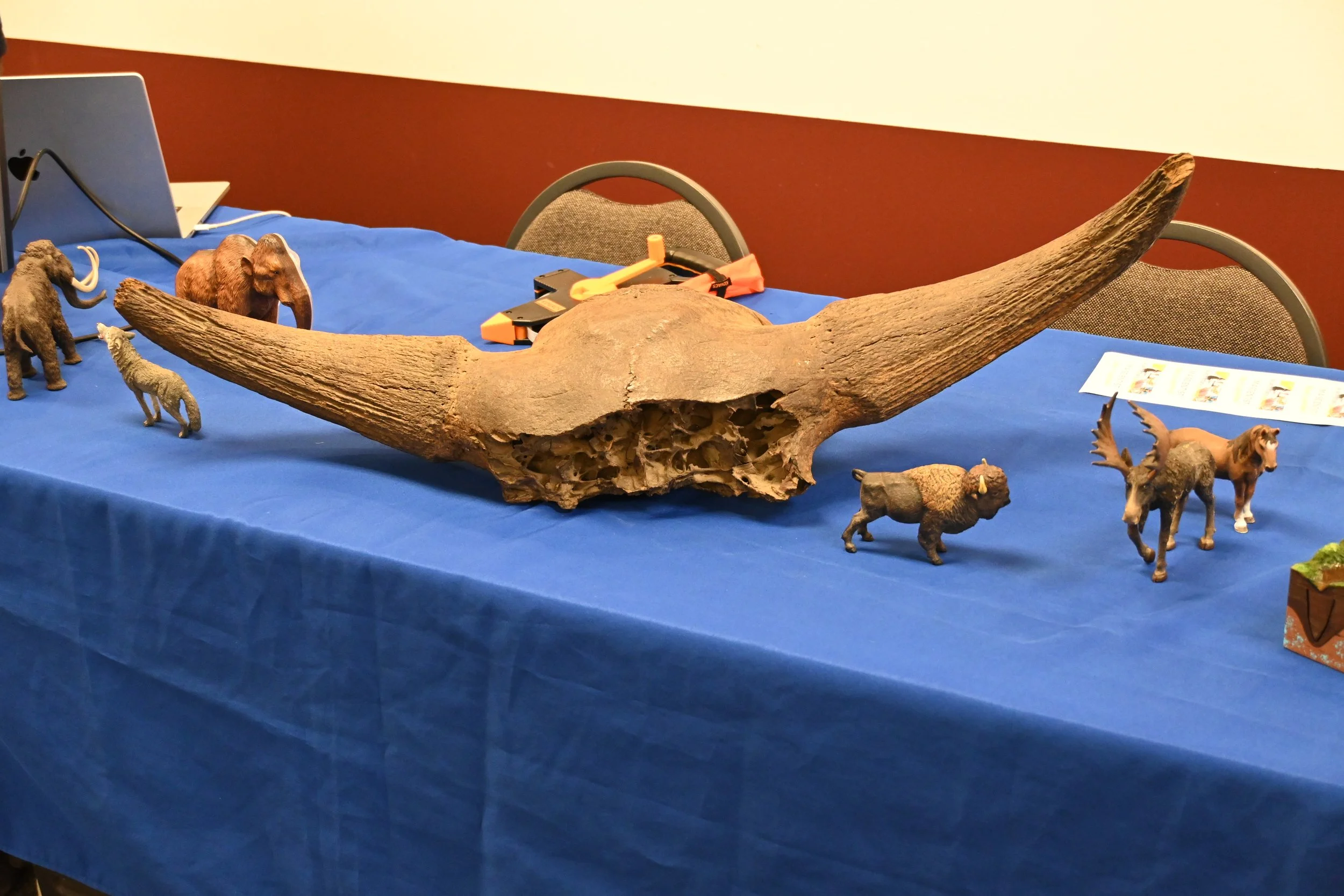 DSC_4710.JPG