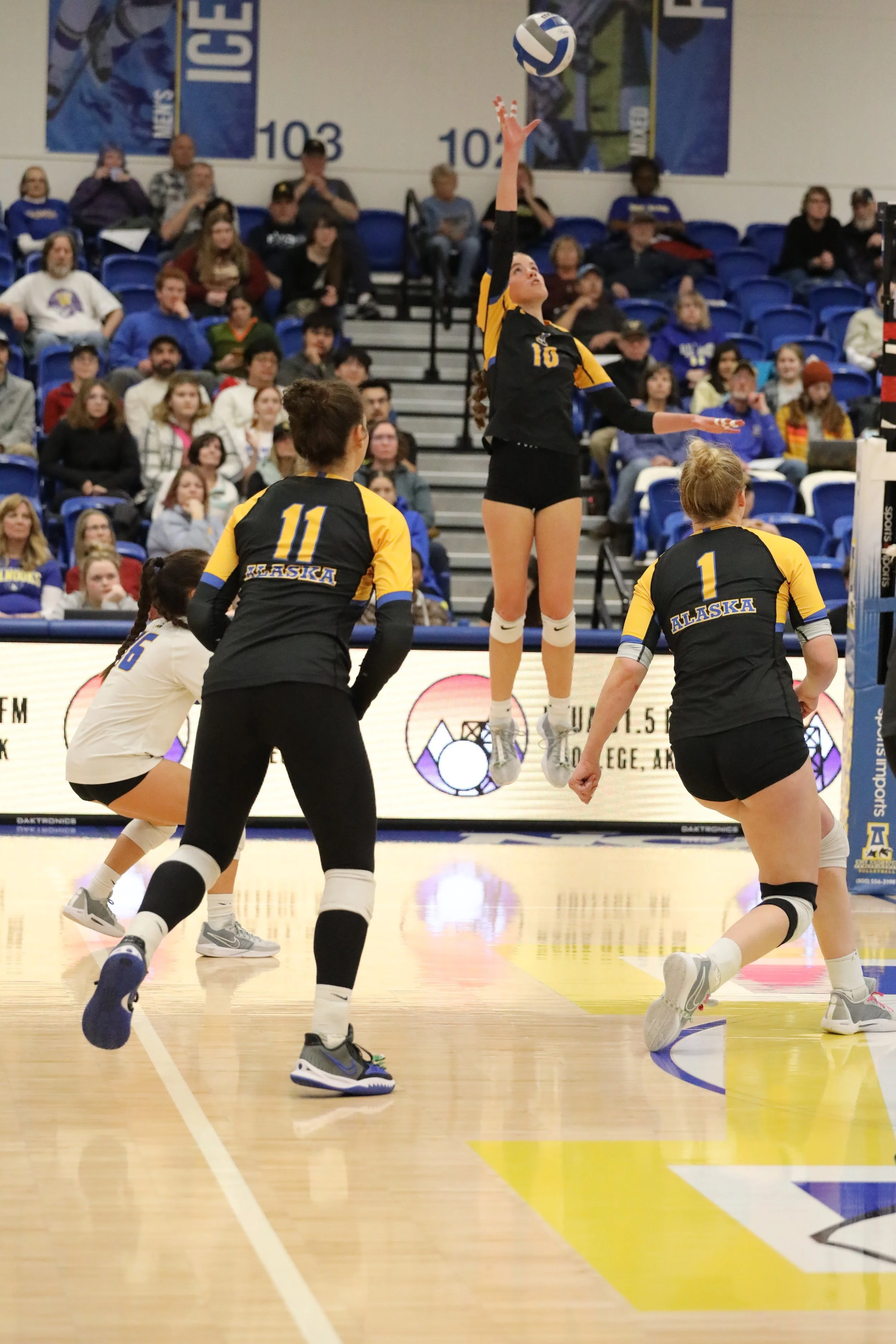 Volleyball — The Sun Star - UAF's Student Voice