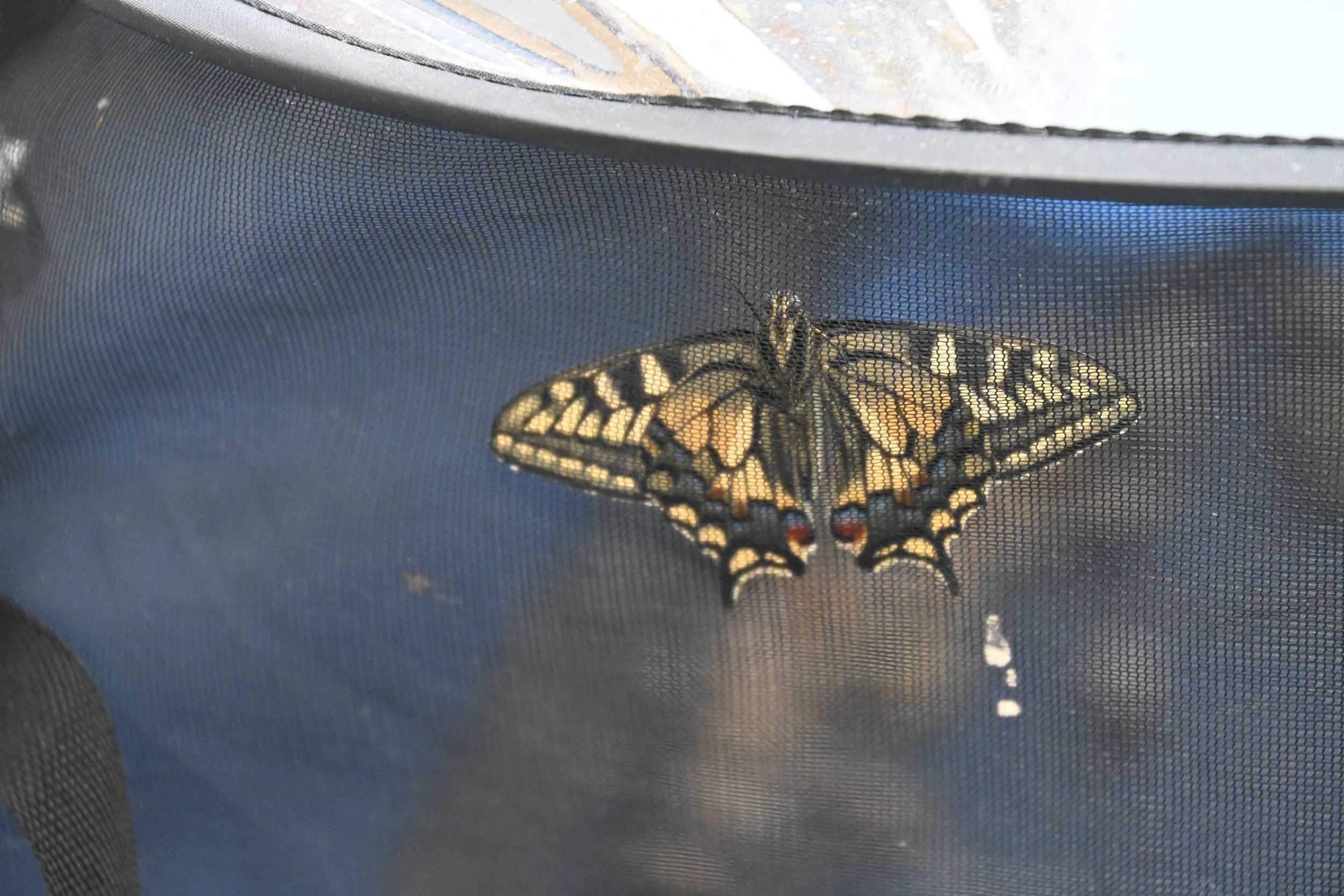 DSC_4791.JPG
