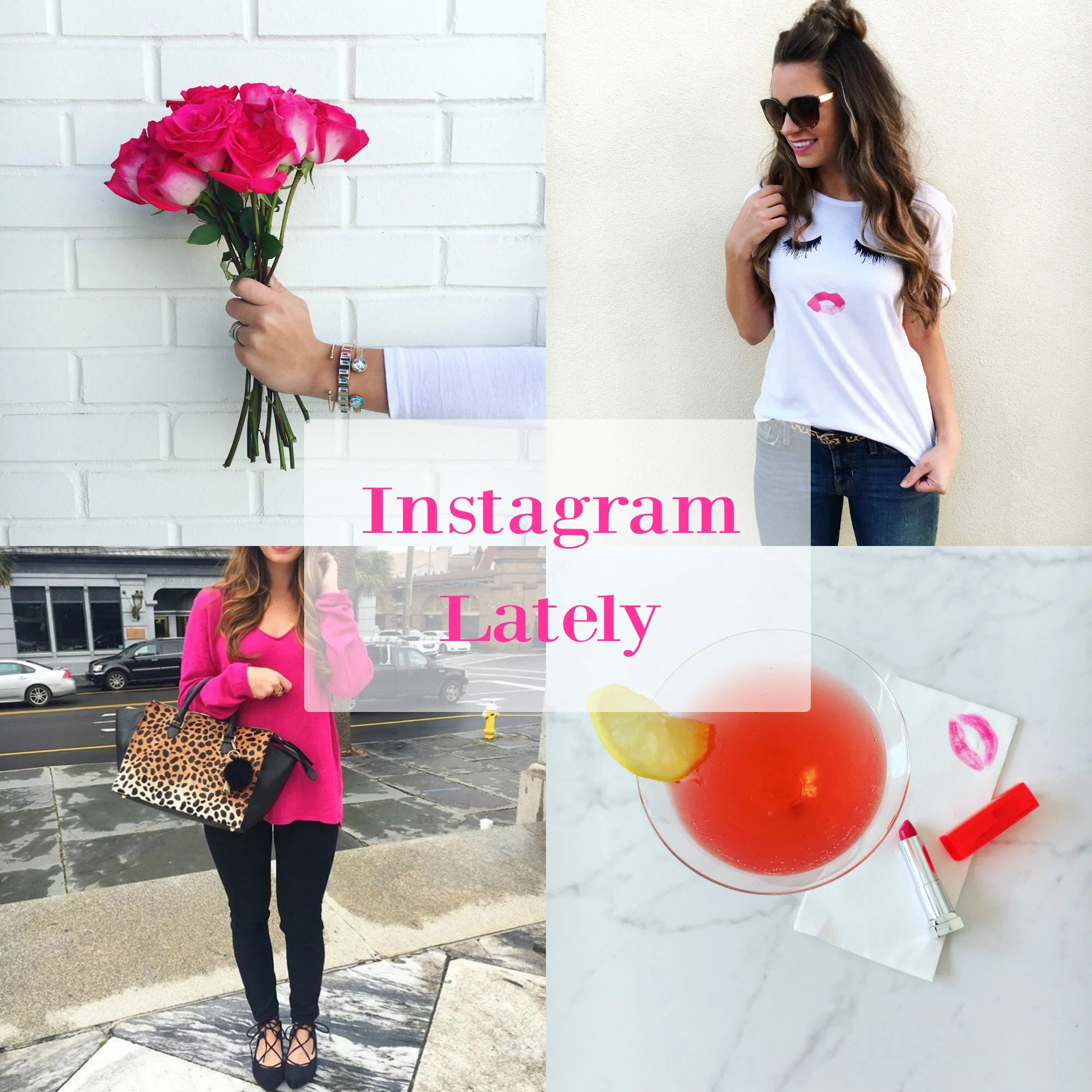 Life the Past Month...