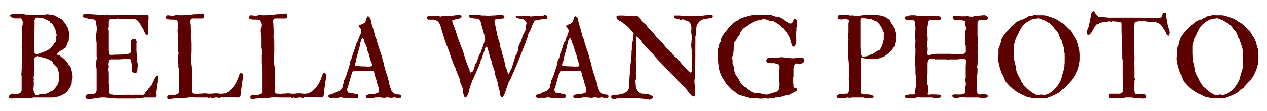 Logo with text "BELLA WANG PHOTO" in maroon font