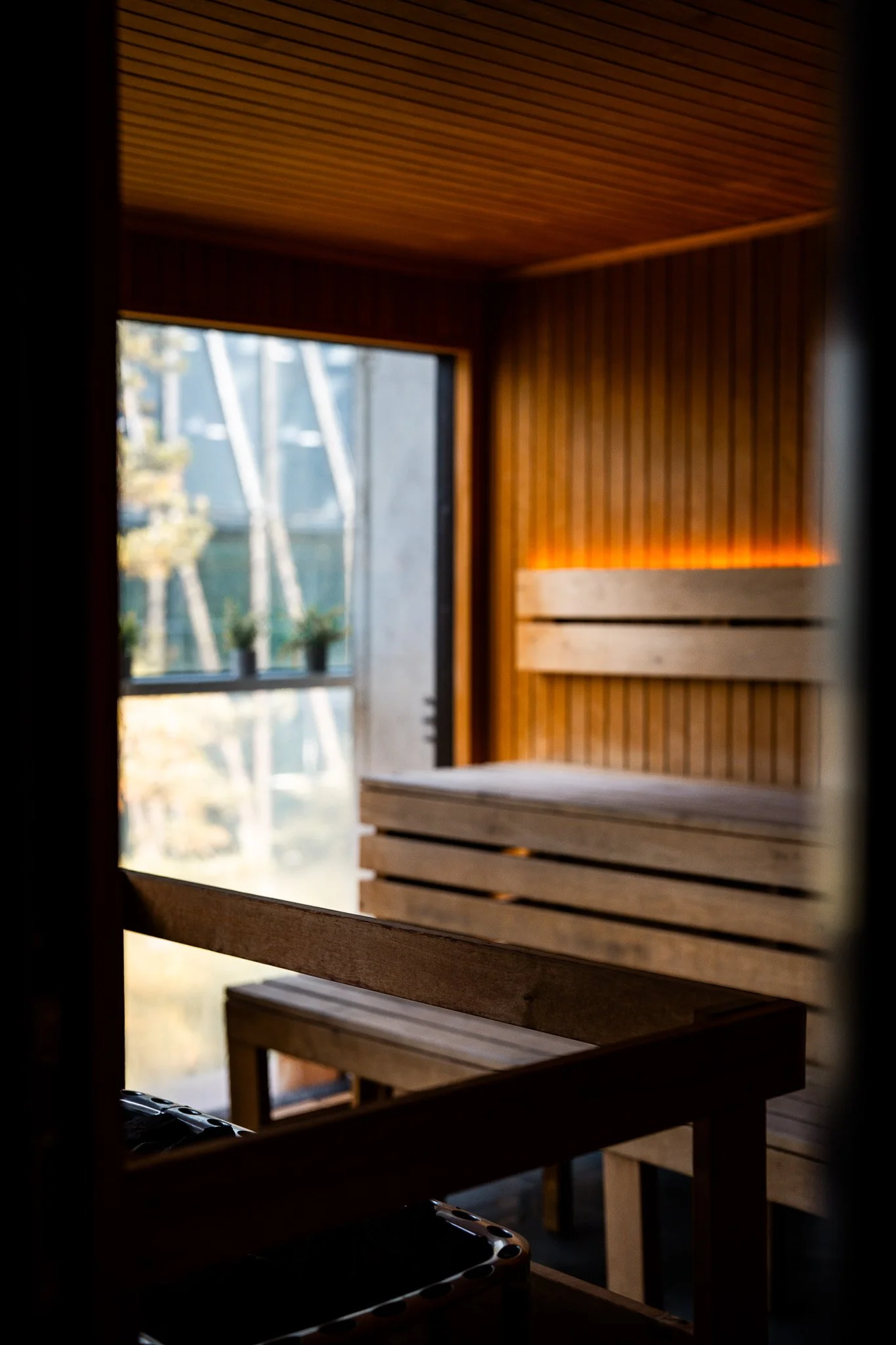 Sauna & Breathwork Session