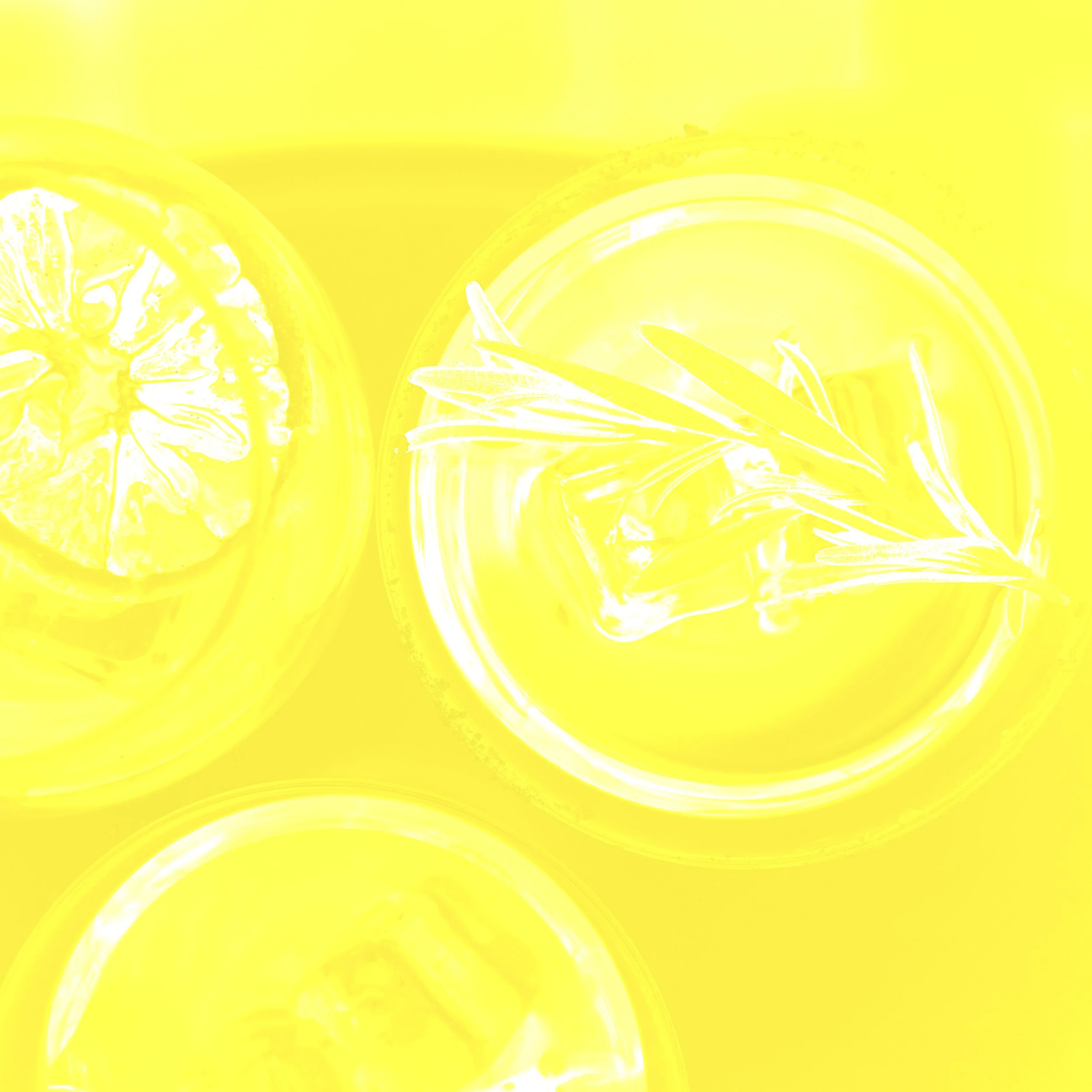 JULY CANARY YELLOW.jpg