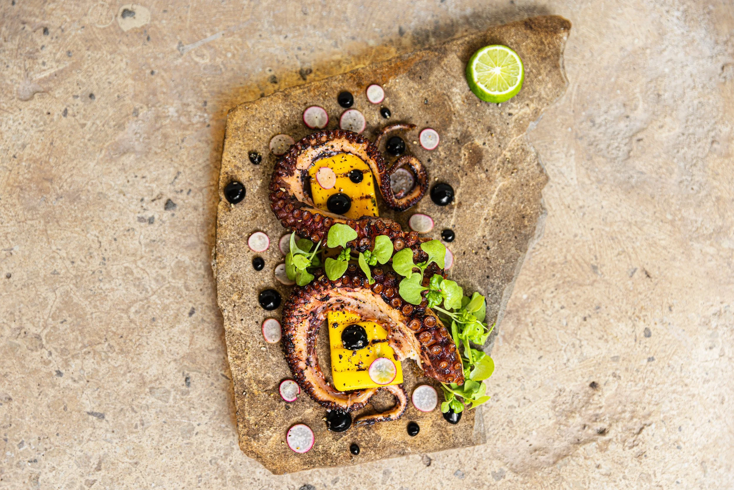 Grilled octopus served on a stone with radish slices, microgreens, a lime half, and a yellow garnish, drizzled with black sauce, on a textured surface.