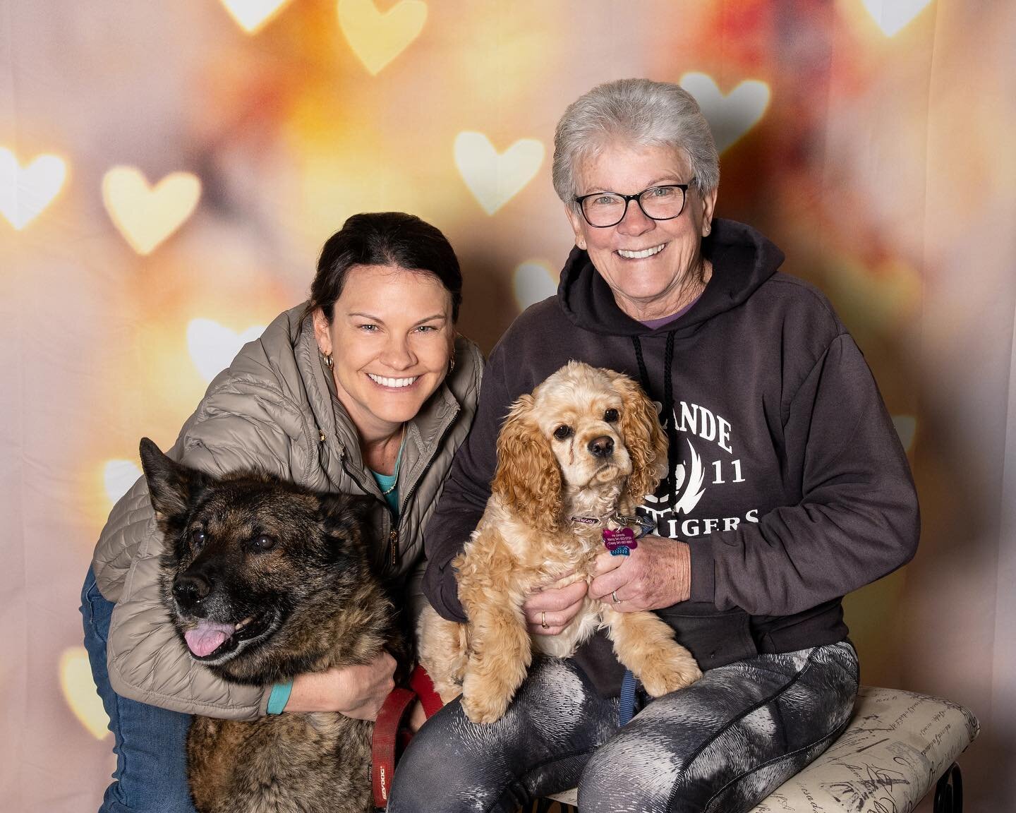 Happy Valentine&rsquo;s Day from the Hazelnut hill ladies. (Don&rsquo;t worry, the four legged ones don&rsquo;t help). We loved all the orders and custom treats we made for you! 

Thank you @mjacksonphotography and @k9swimcenter for an epic photo sho