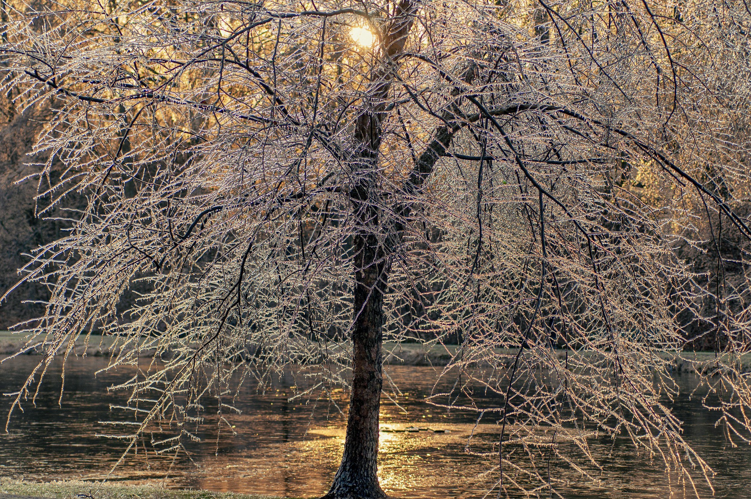 Nem túlélni, hanem élni - amikor a tél még nem enged
