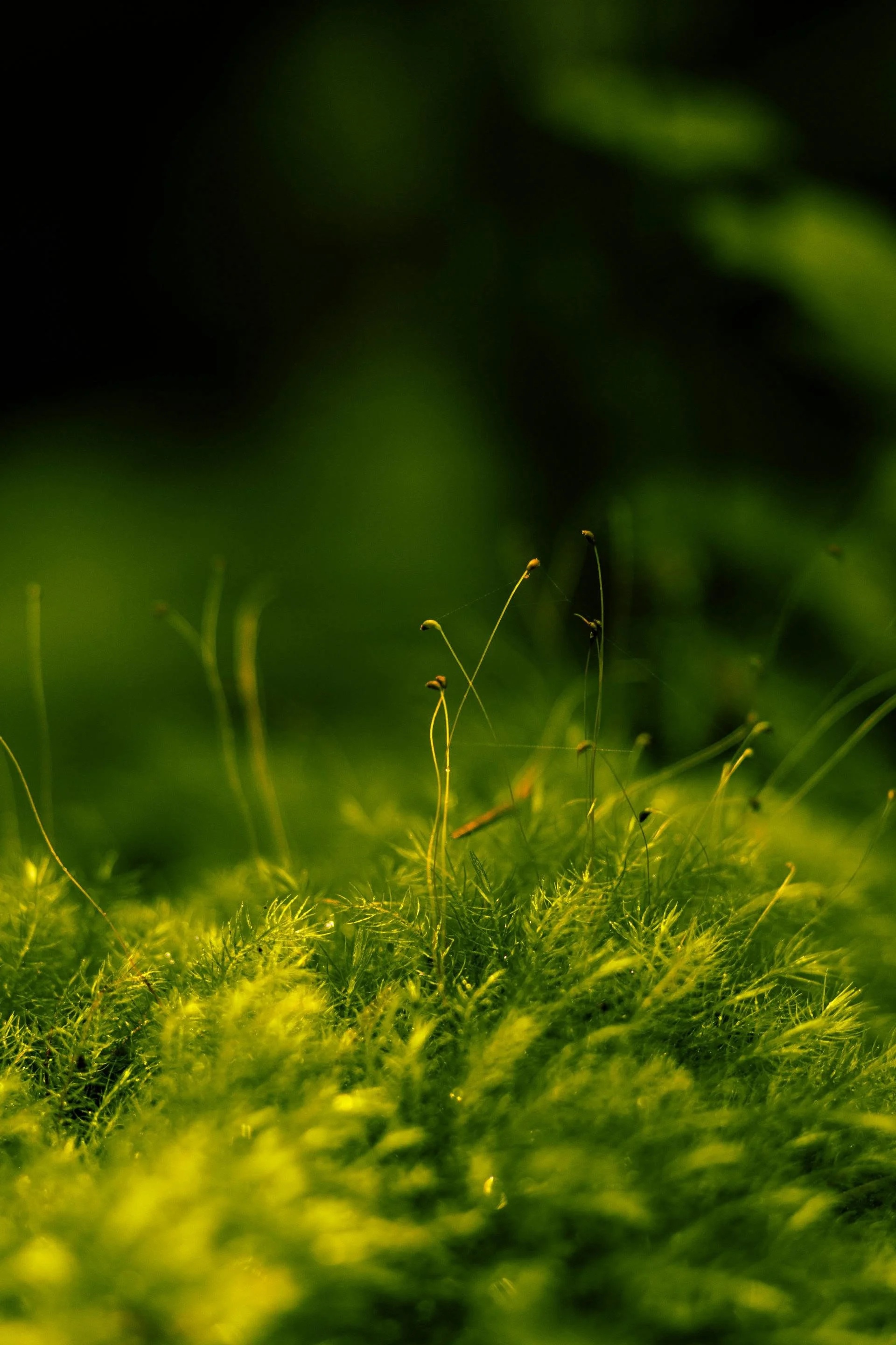 A konfliktusok áldása