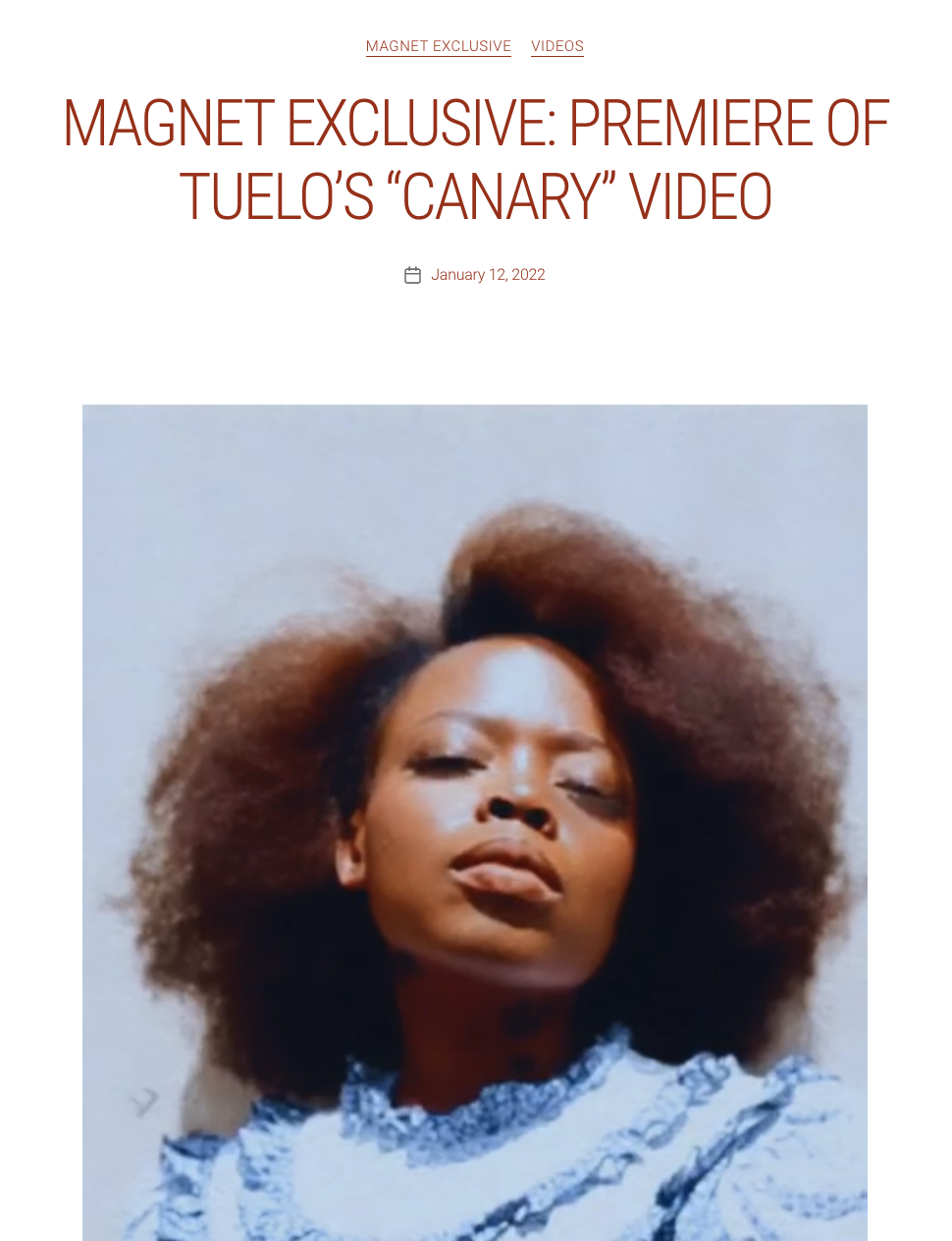 betale Pine legetøj Canary” Video Premiere on Magnet Magazine — Tuelo