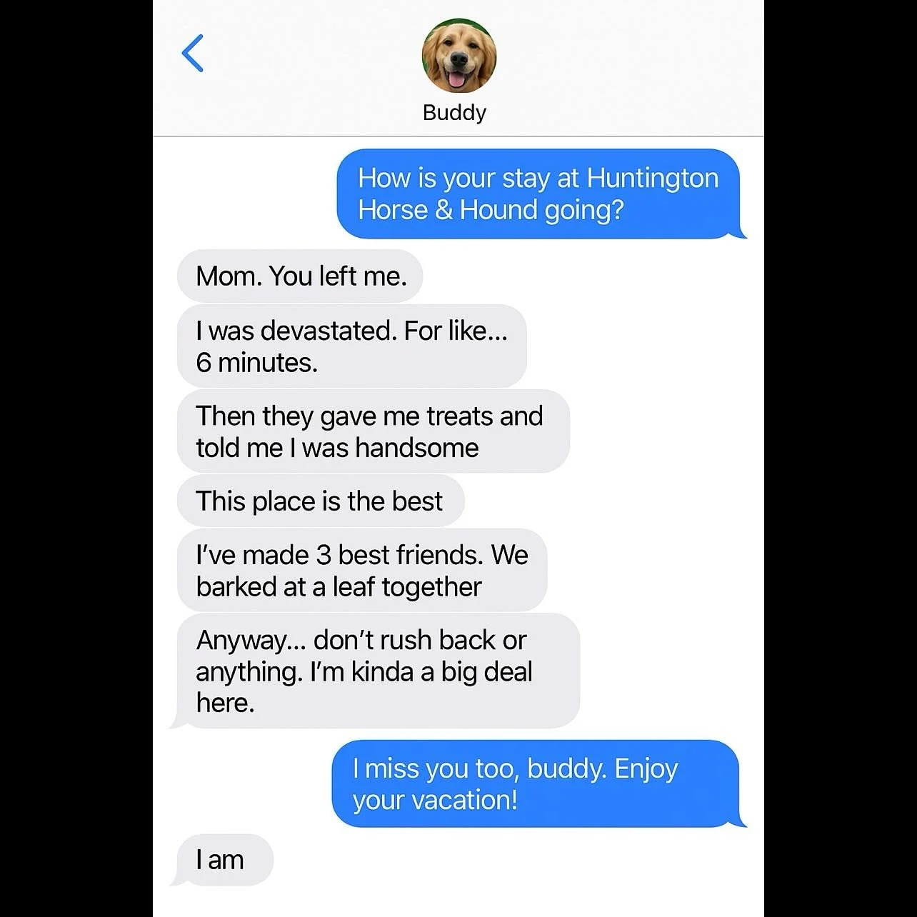 Buddy&rsquo;s checking in from his vacation at Huntington Horse &amp; Hound&hellip; and he&rsquo;s clearly living his best life.
We love seeing our guests settle in, make new friends, and feel right at home. Who else thinks their pup would send messa