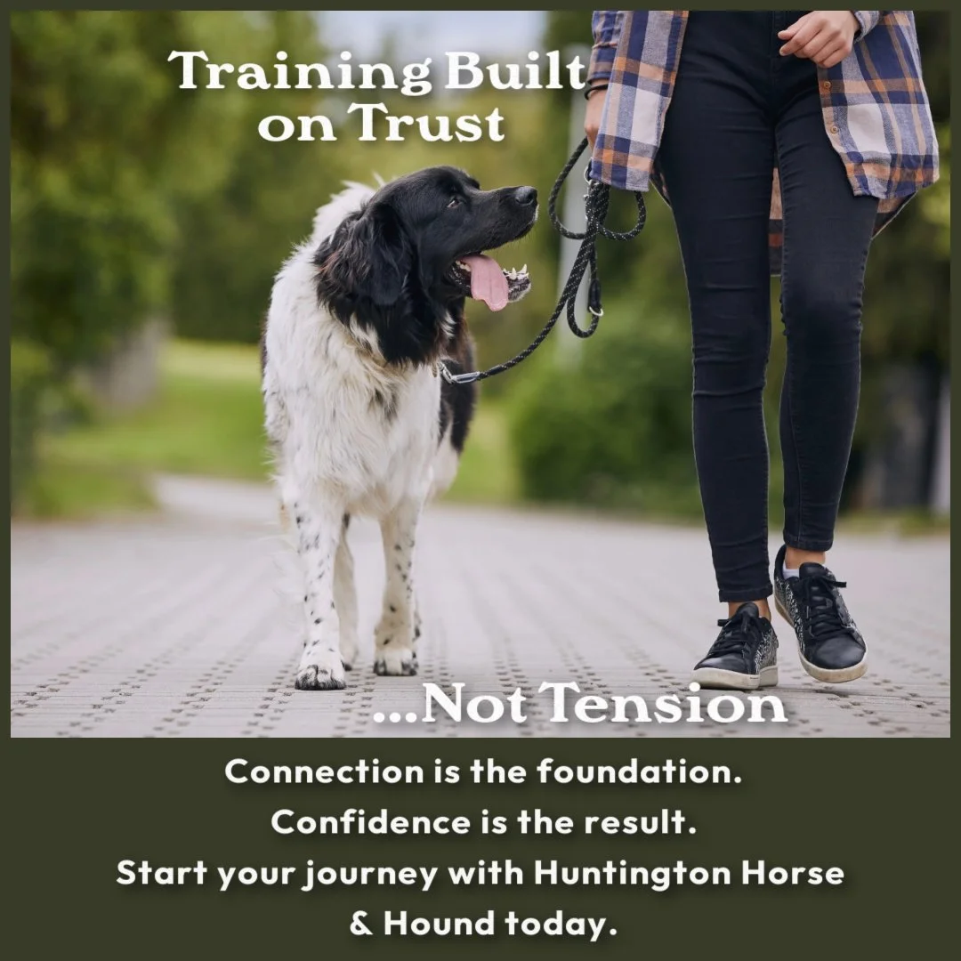We&rsquo;re excited to share some fantastic news! Huntington Horse &amp; Hound is proud to partner with K-9 Confidence, led by Master Dog Trainer Wendell Waithe.

Wendell brings over 47 years of experience in dog training, having studied under Master