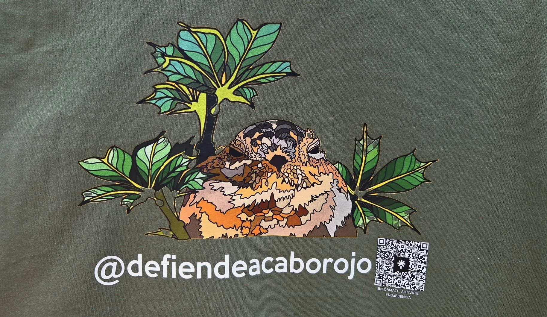 guabairo verde monte 2.jpeg