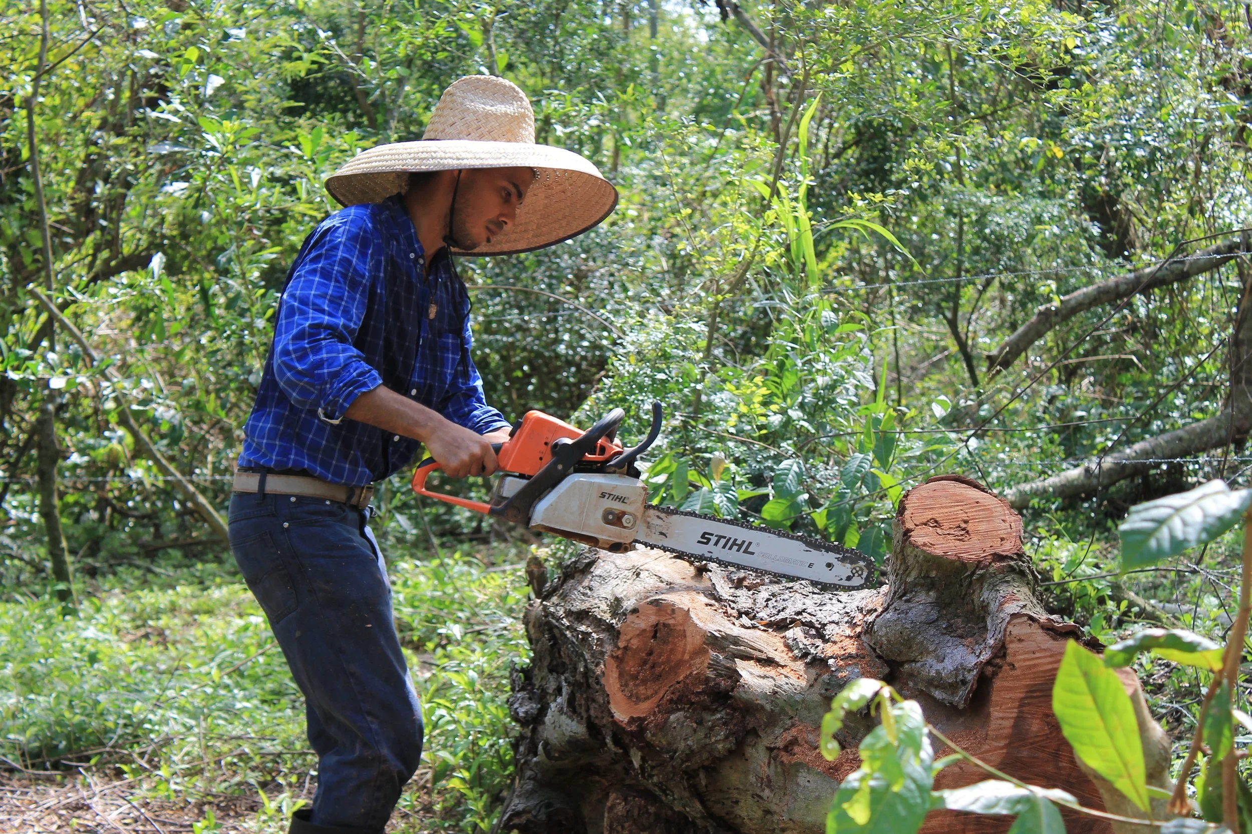 Copy of IMG_3093.JPG