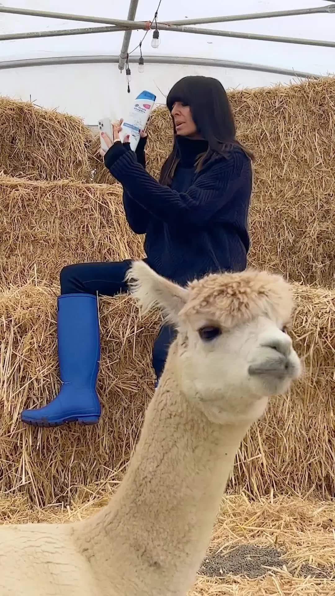 A woman with black hair and bangs wearing a dark sweater and blue rain boots sitting on hay bales inside a greenhouse, holding a bottle of sunscreen. An alpaca stands in front of her, facing the camera.
