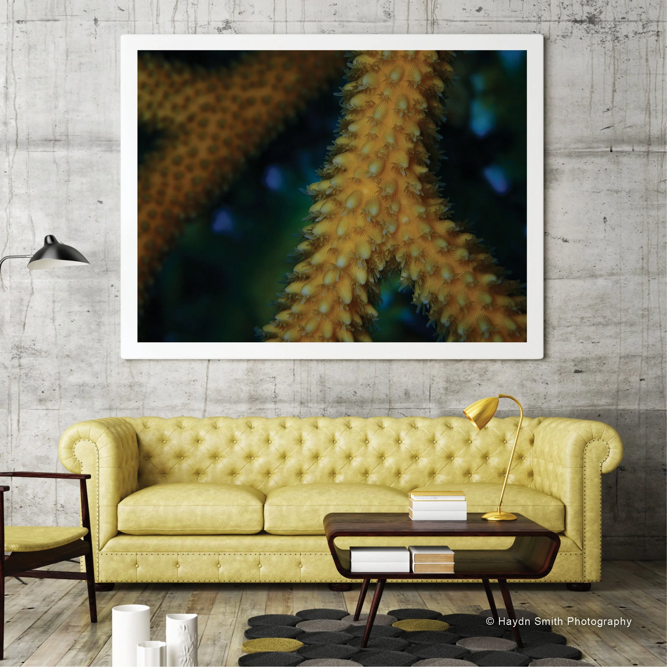 Haydn Smith art prints_15.jpg