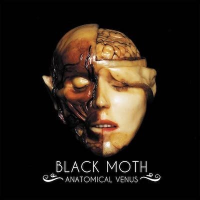 Black Moth / Anatomical Venus