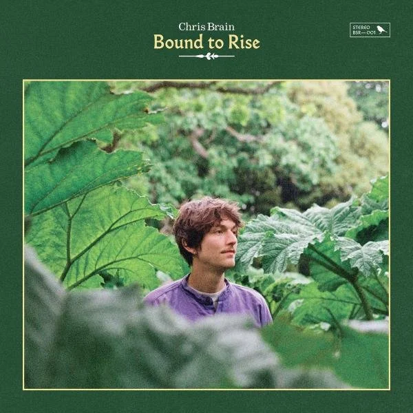 CHRIS BRAIN / BOUND TO RISE