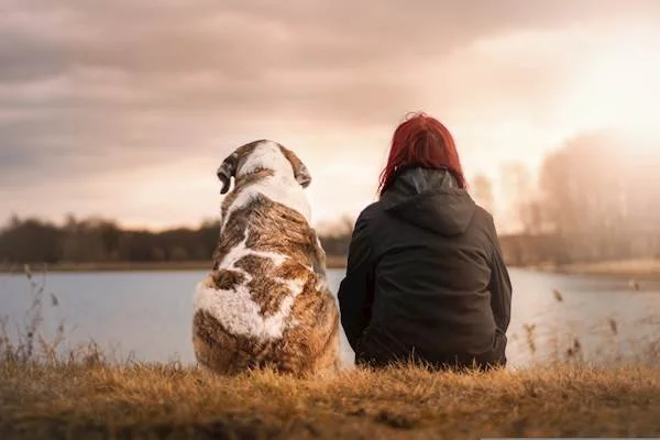 A Guide To Grieving Your Beloved Dog