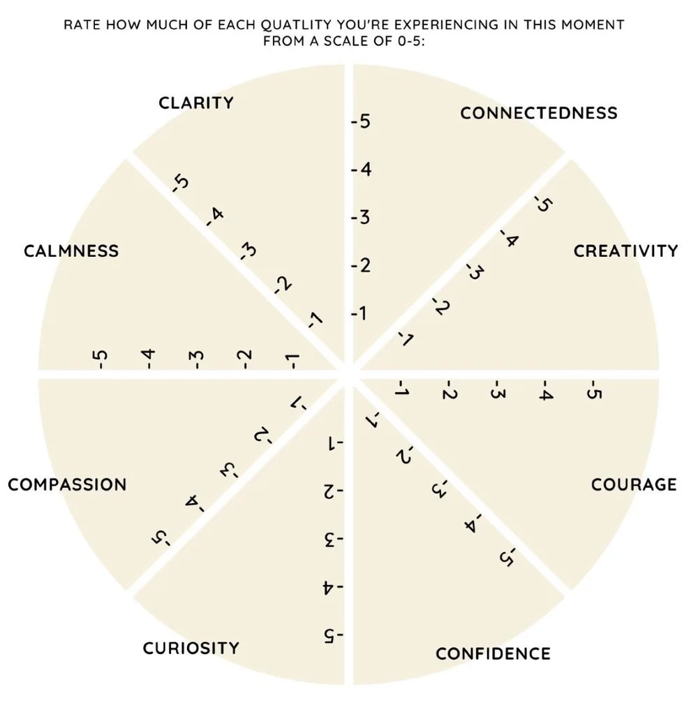 No Bad Parts: A Guide to Internal Family Systems (IFS) Therapy - Carly ...