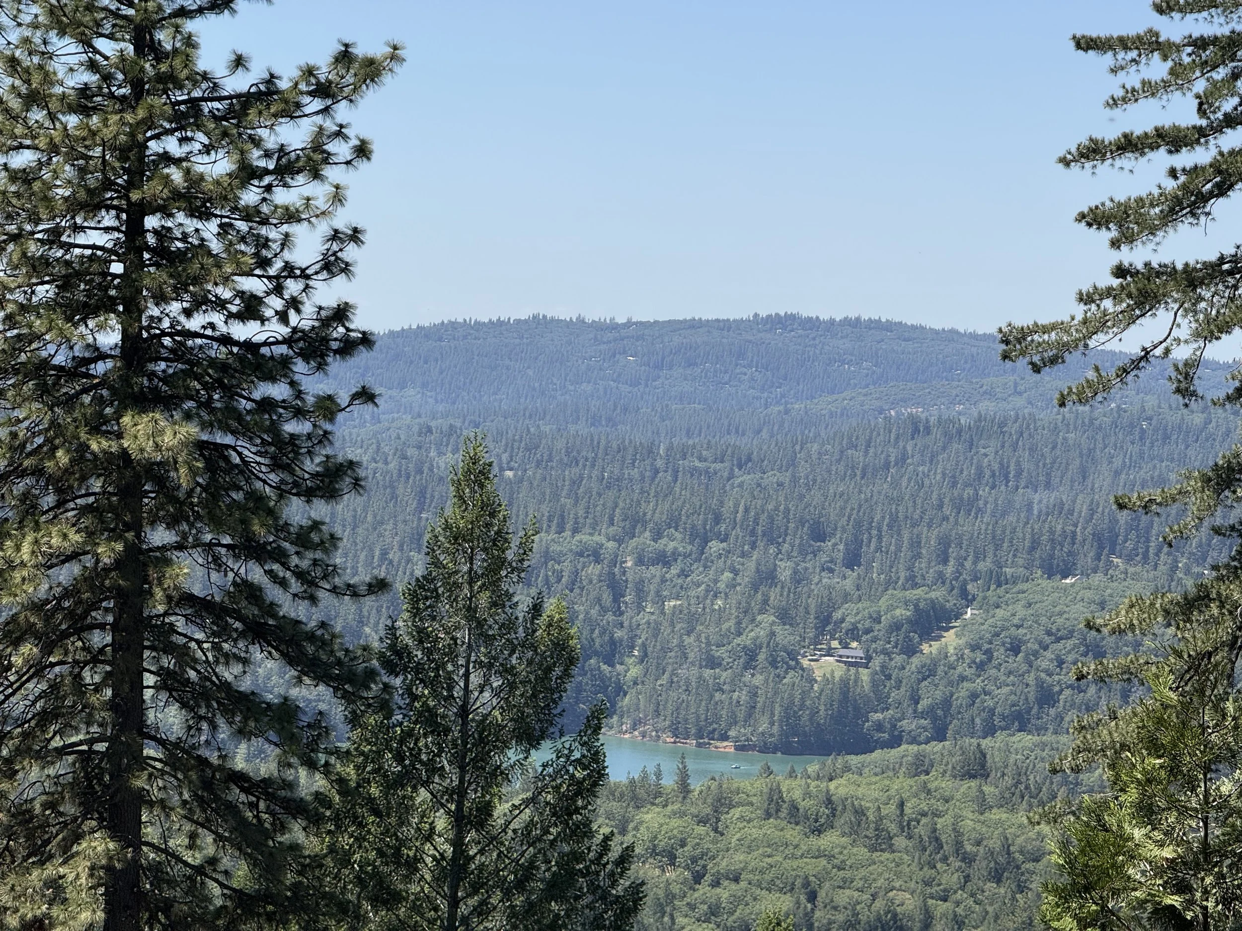 FIELD NOTES FROM NORTHERN CALIFORNIA: SHADE &amp; STILLNESS