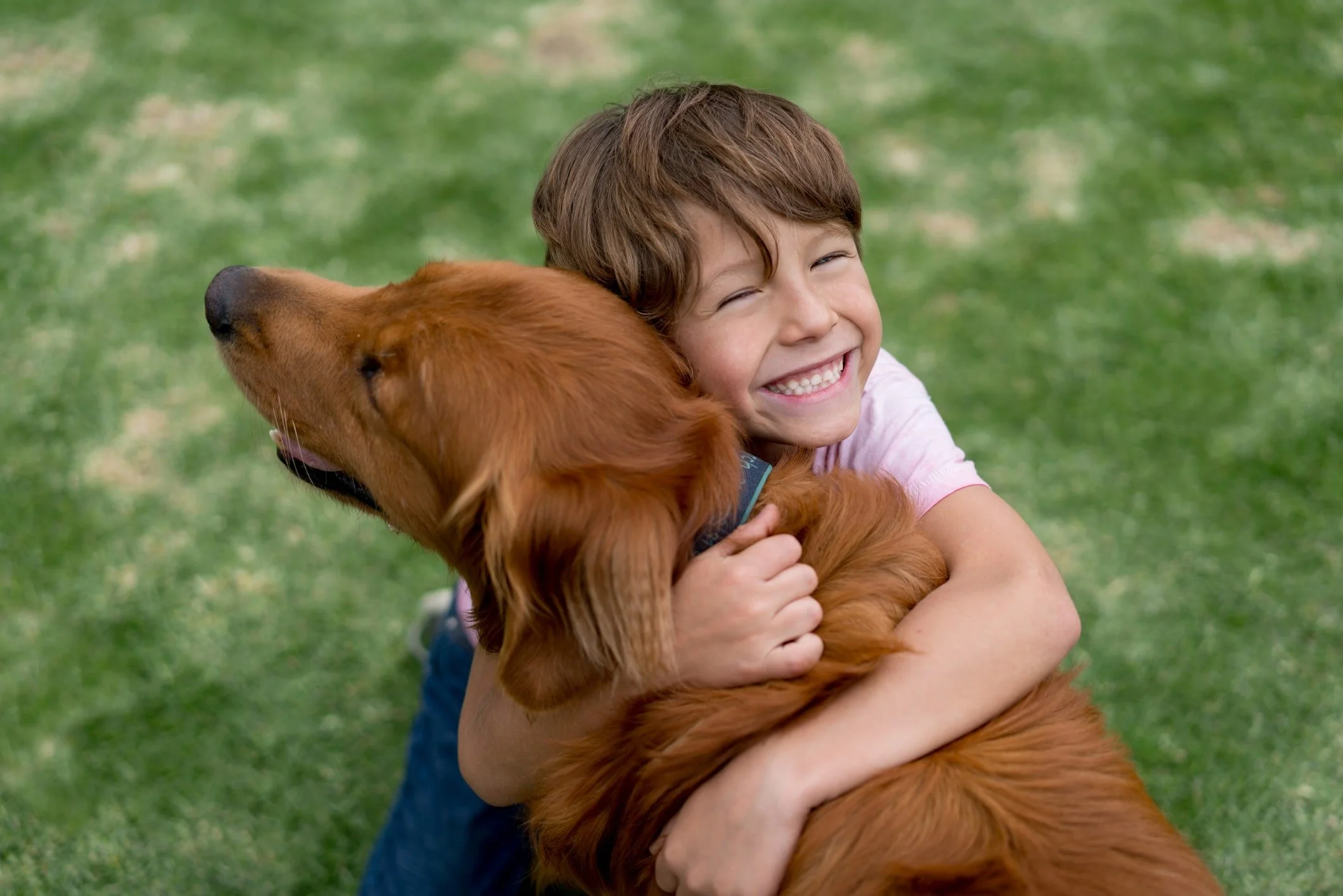 Human and Dog Nervous Systems
