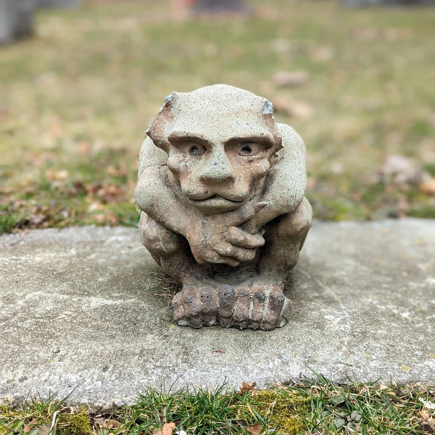 This little guy popped up out of nowhere and startled me while I was looking for a grave!  I'm sure he didn't mean it.