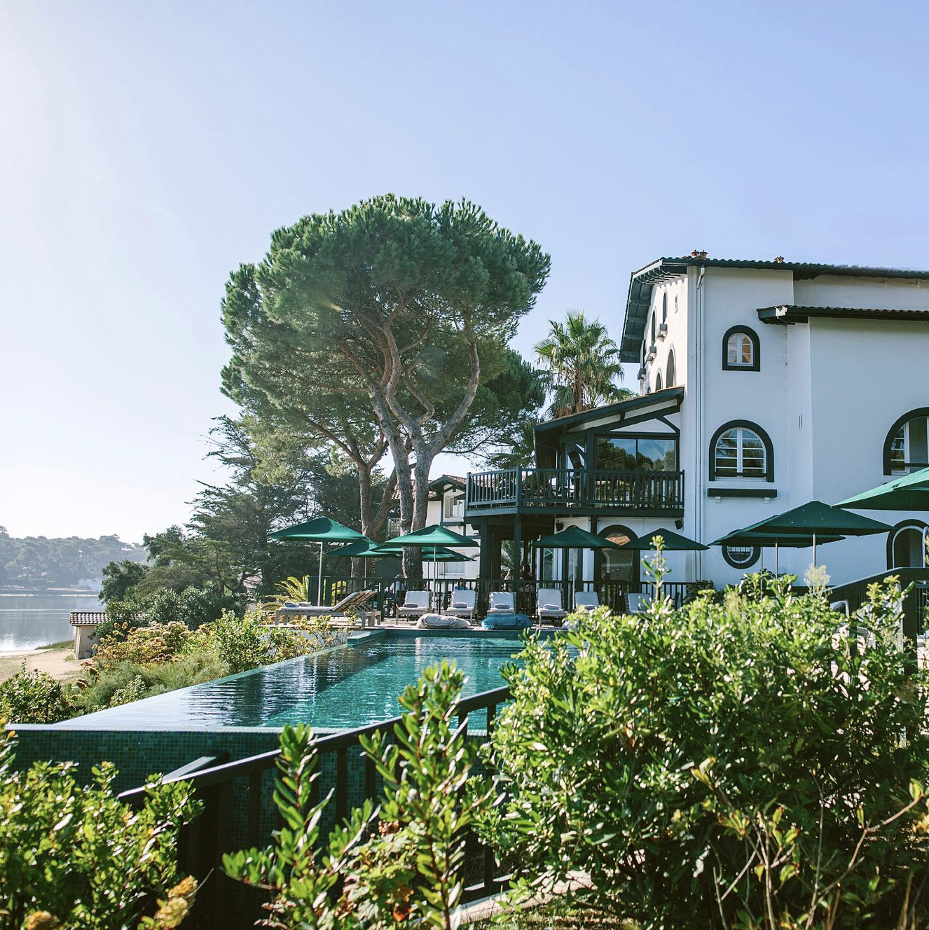 Les Hortensias du Lac