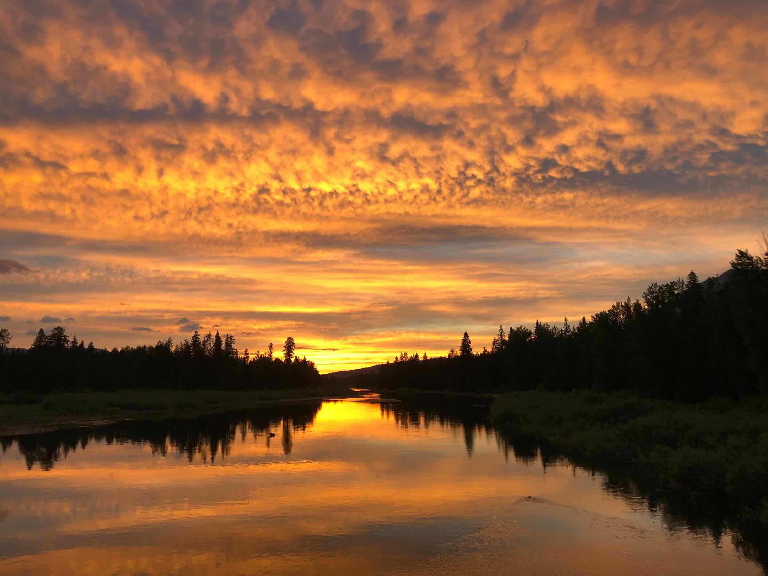 Reference Photos - 3 of 9.jpeg