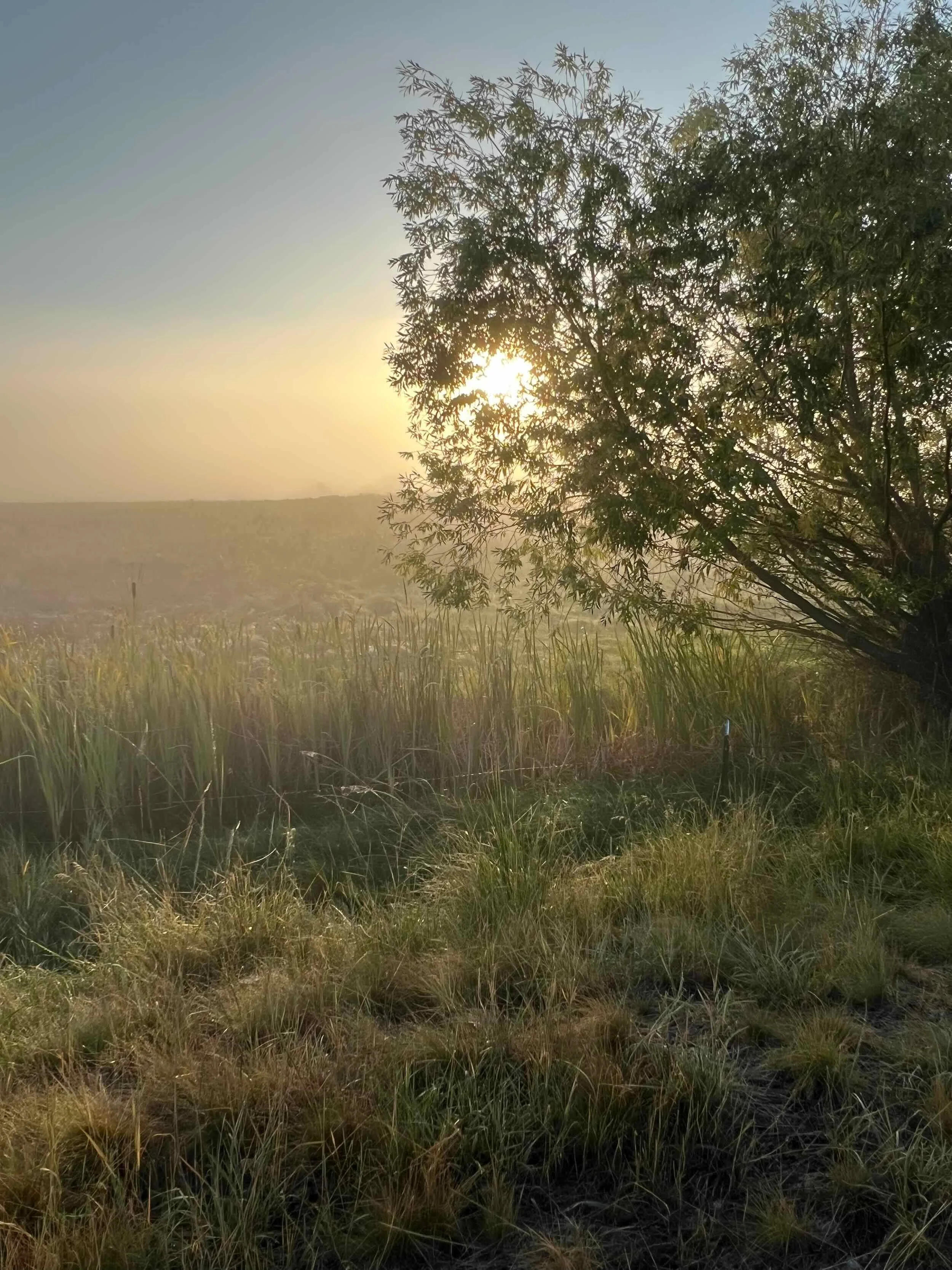 Reference Photos - 4 of 9.jpeg