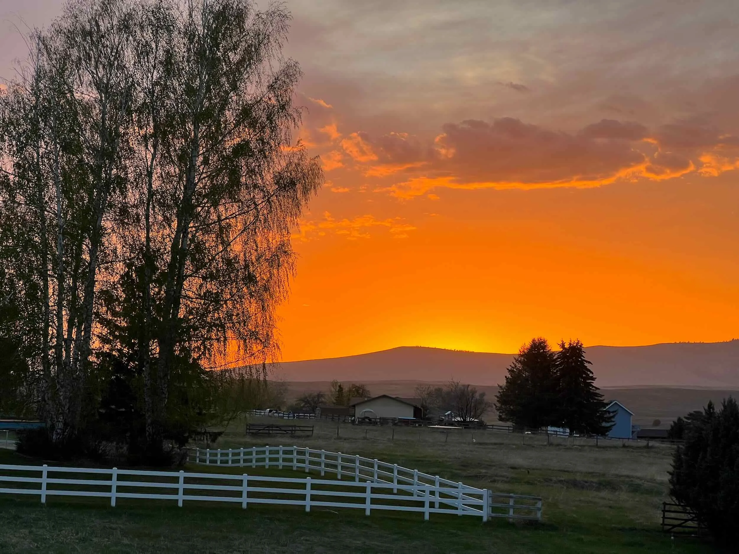 Reference Photos - 7 of 9.jpeg