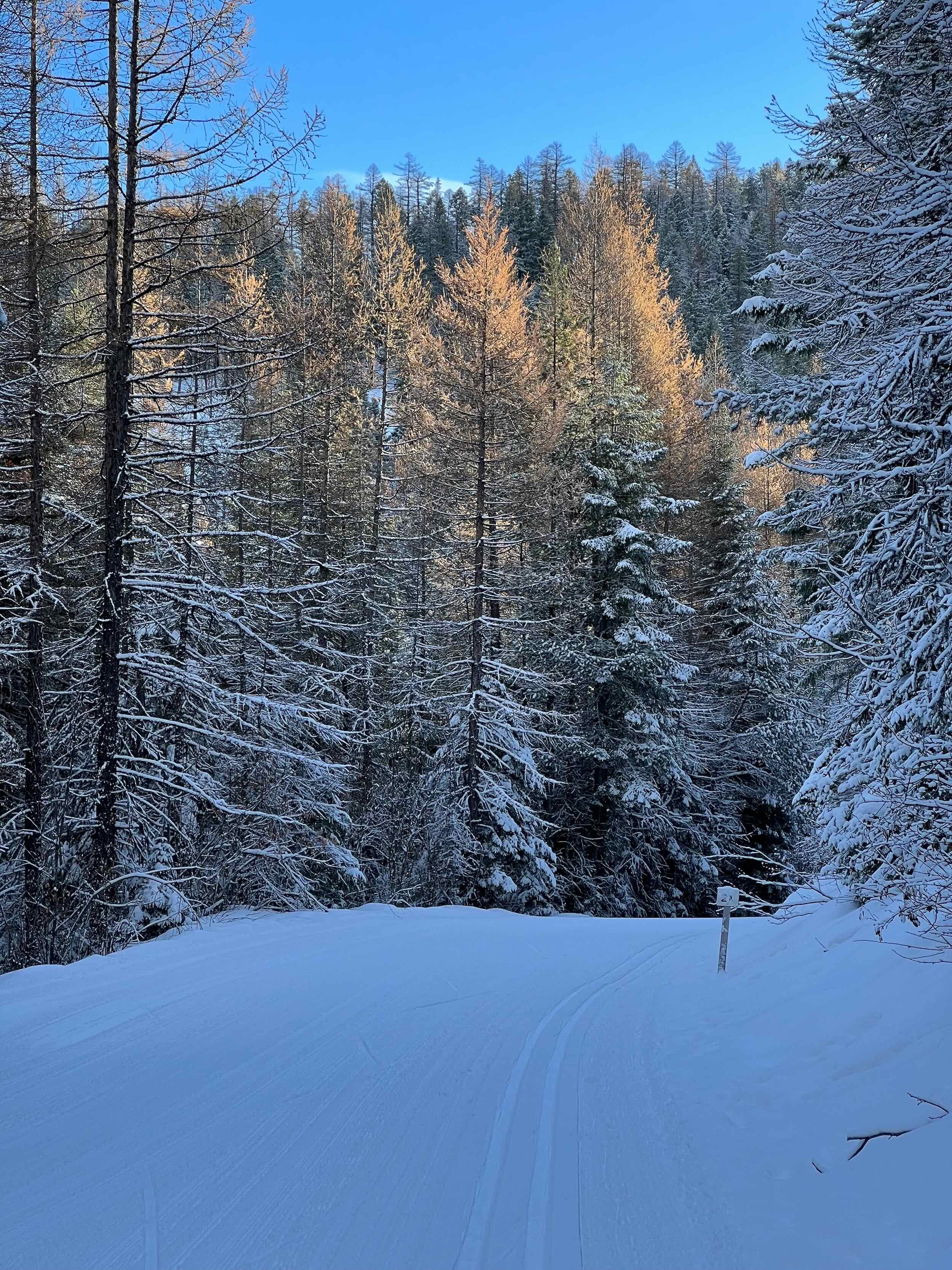 Reference Photos - 6 of 9.jpeg